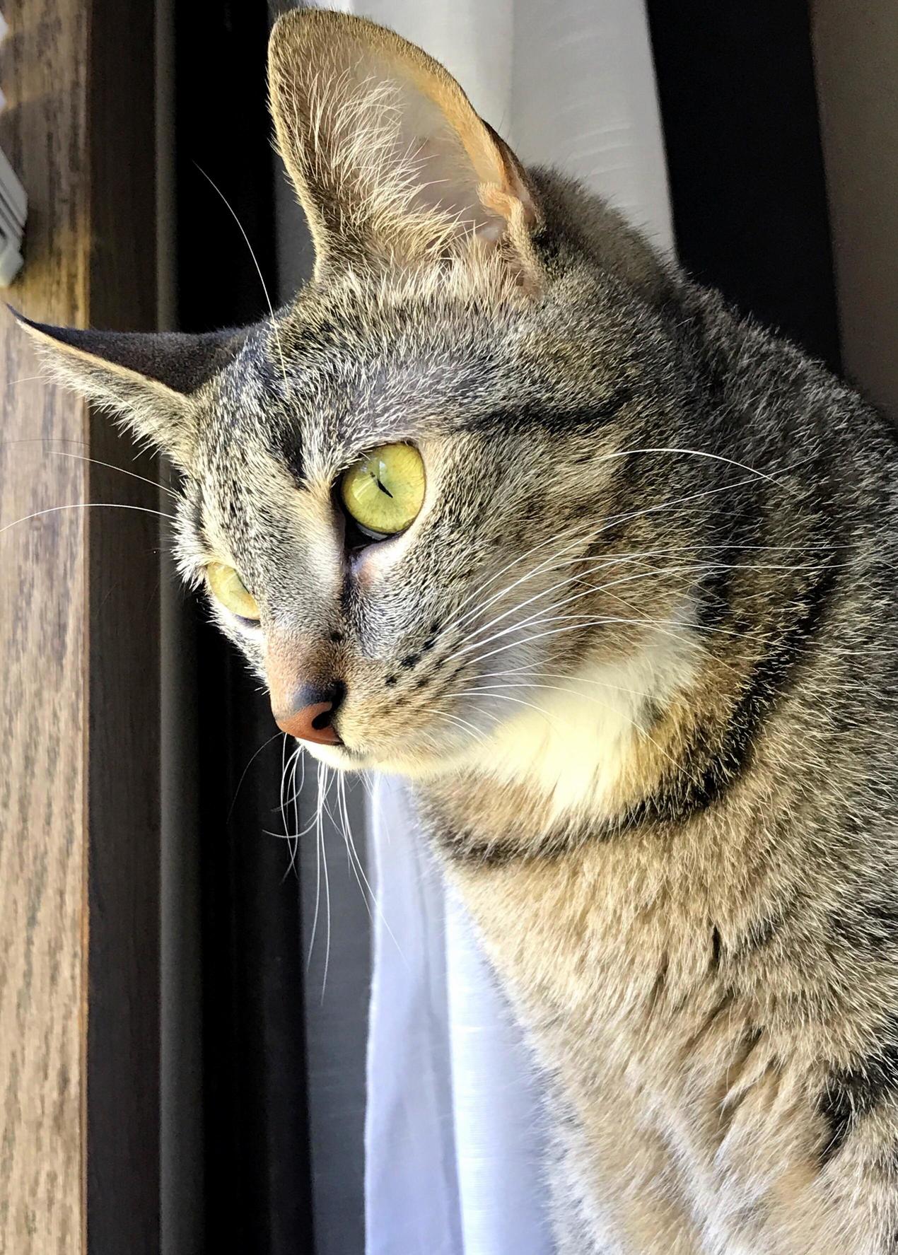 Rip Bailey. You Were a Beautiful and Wonderful Friend.