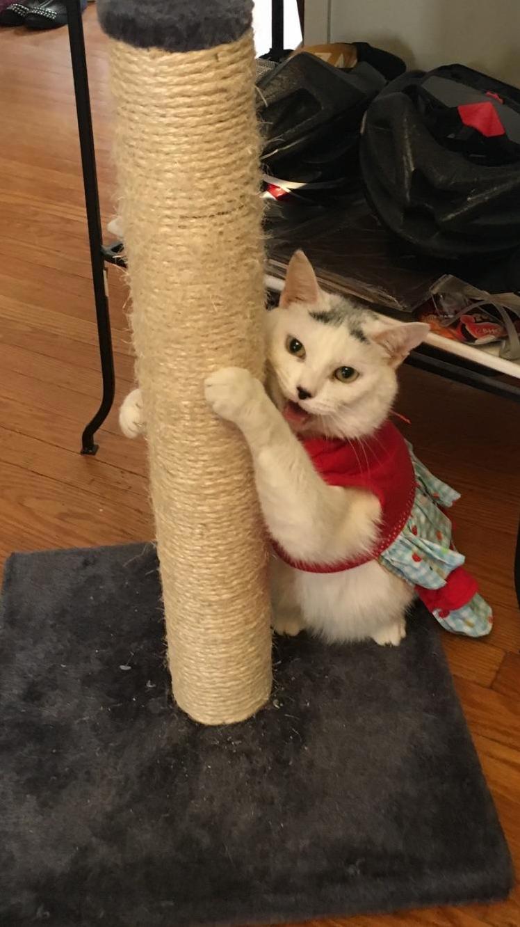 Roxy Cocaine 9y.o. Posing in Her Pretty New Sundress