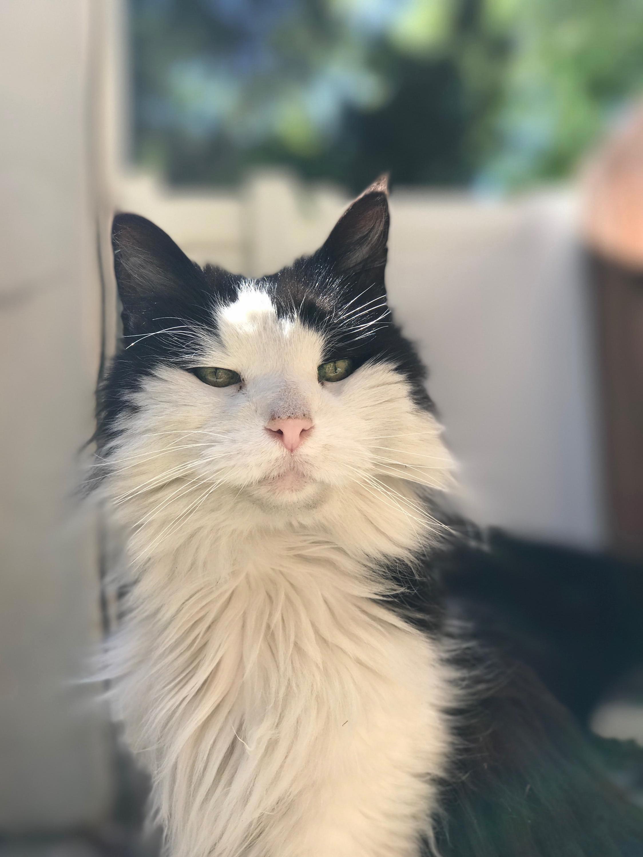 Spunky~1