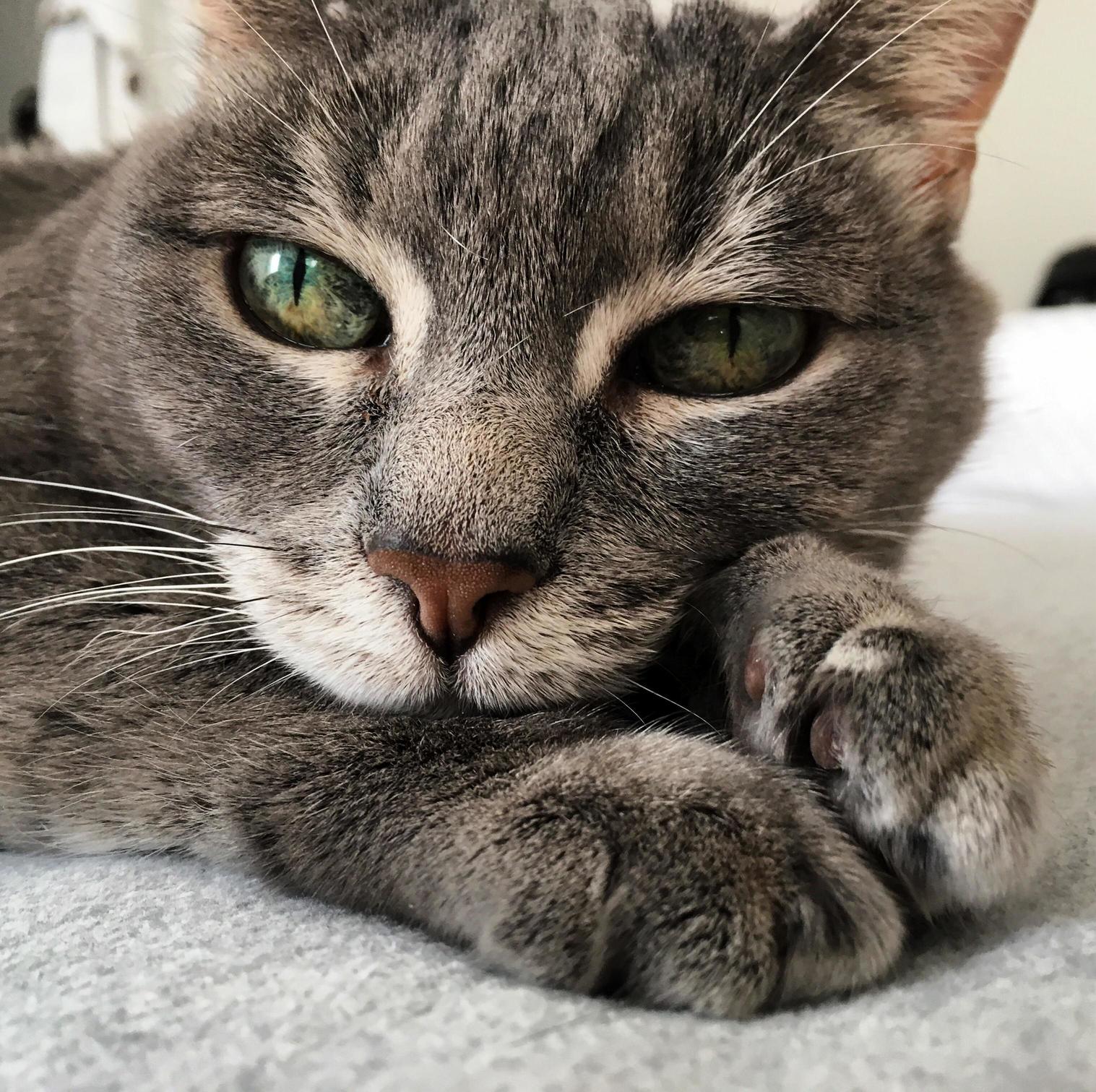 Say Hi to Misty - 15 Years Young Galaxy-eyed Beauty