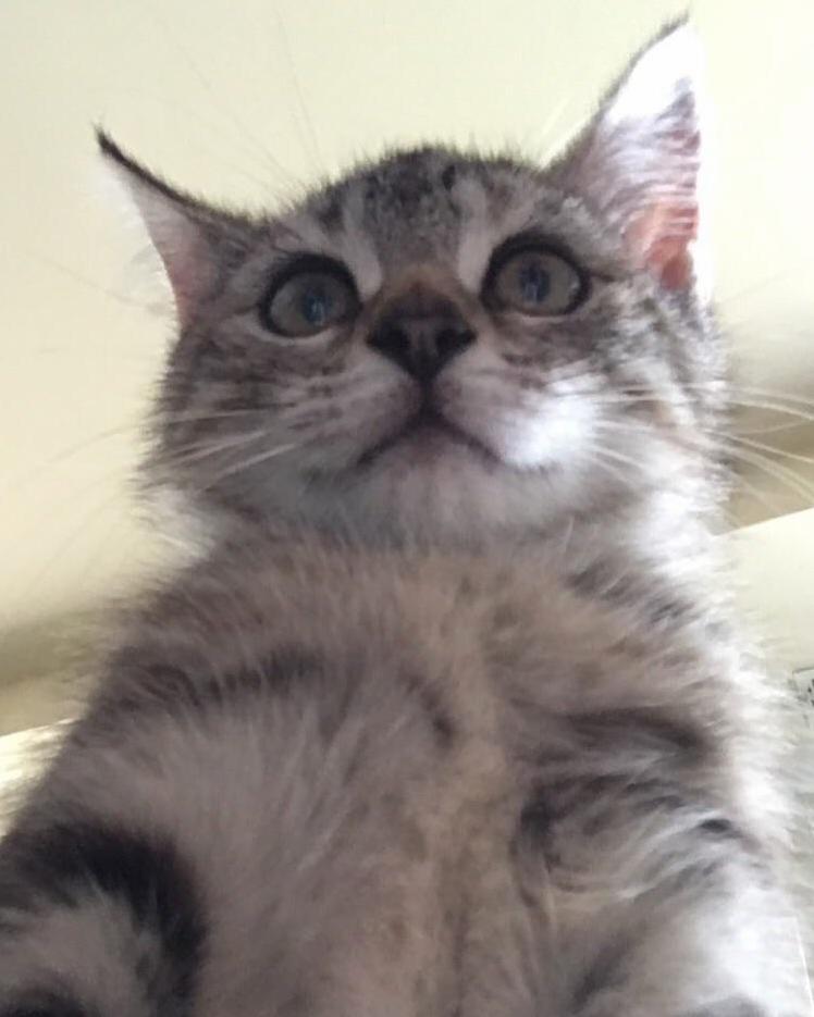 Seeing Herself for the First Time.