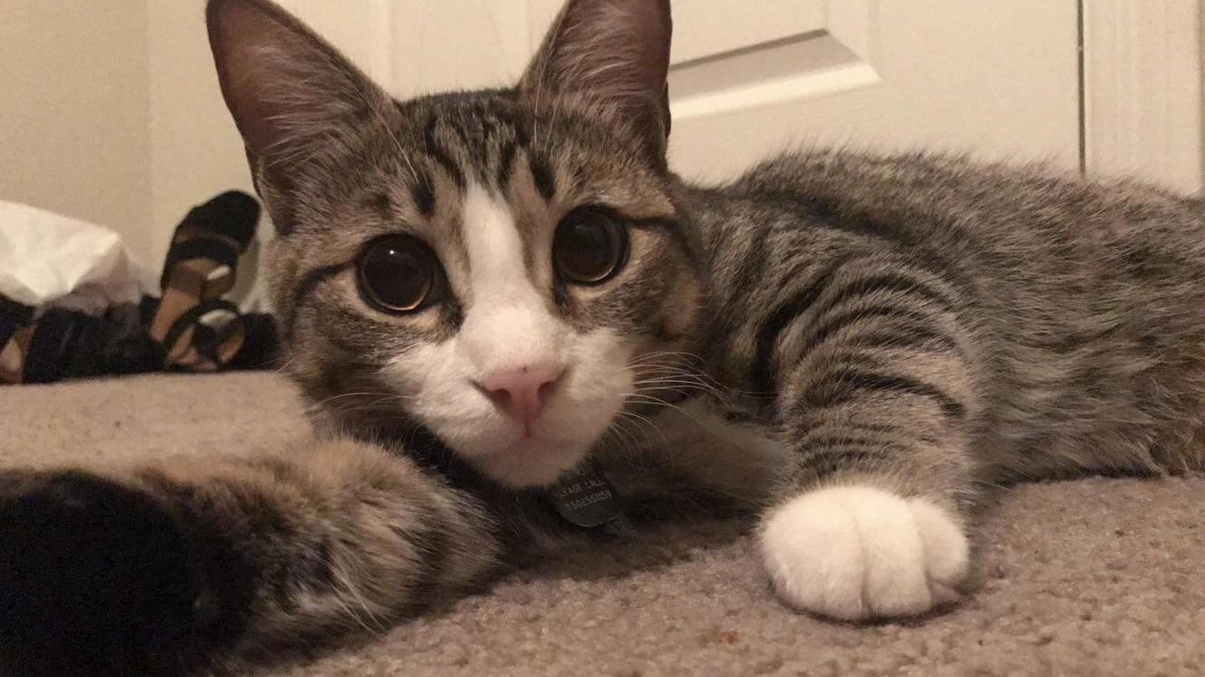 Selfie