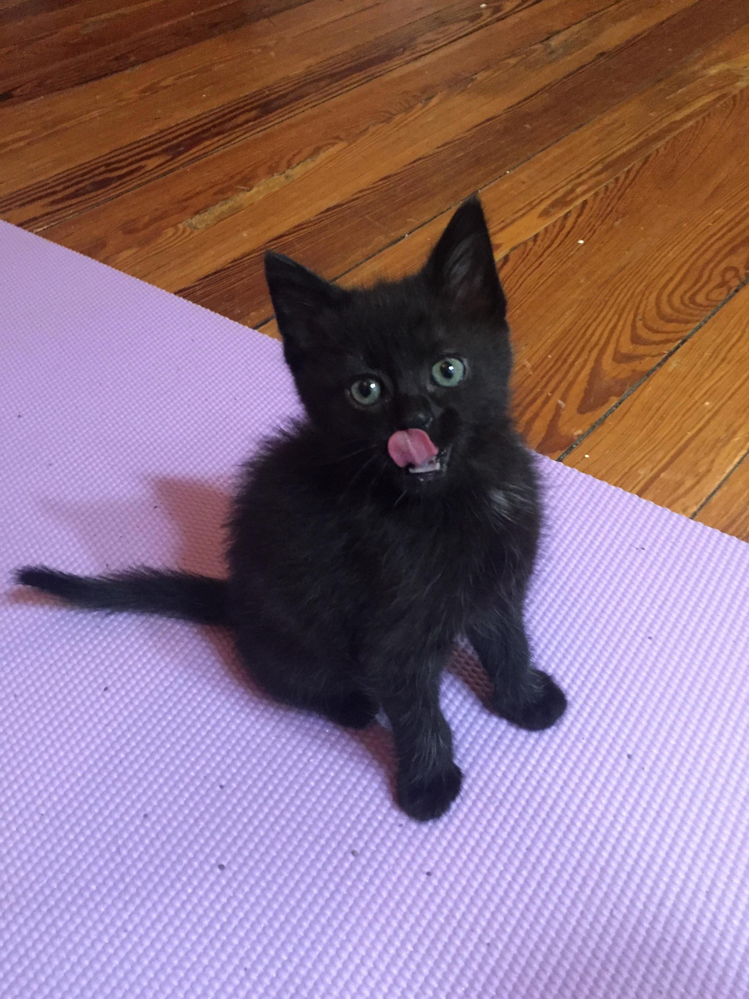 She Approved of Dinner