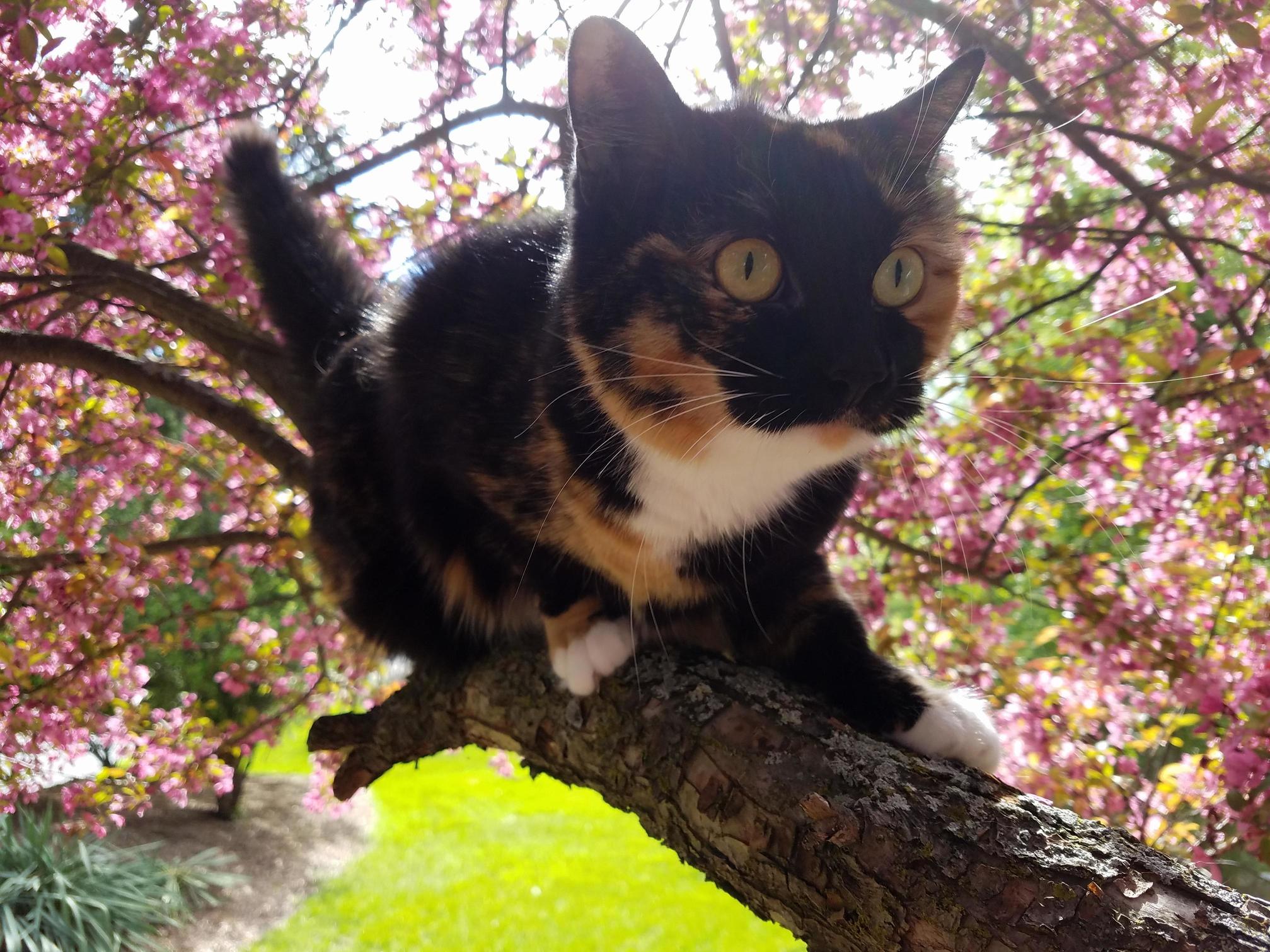 She Had a Little Photoshoot Today