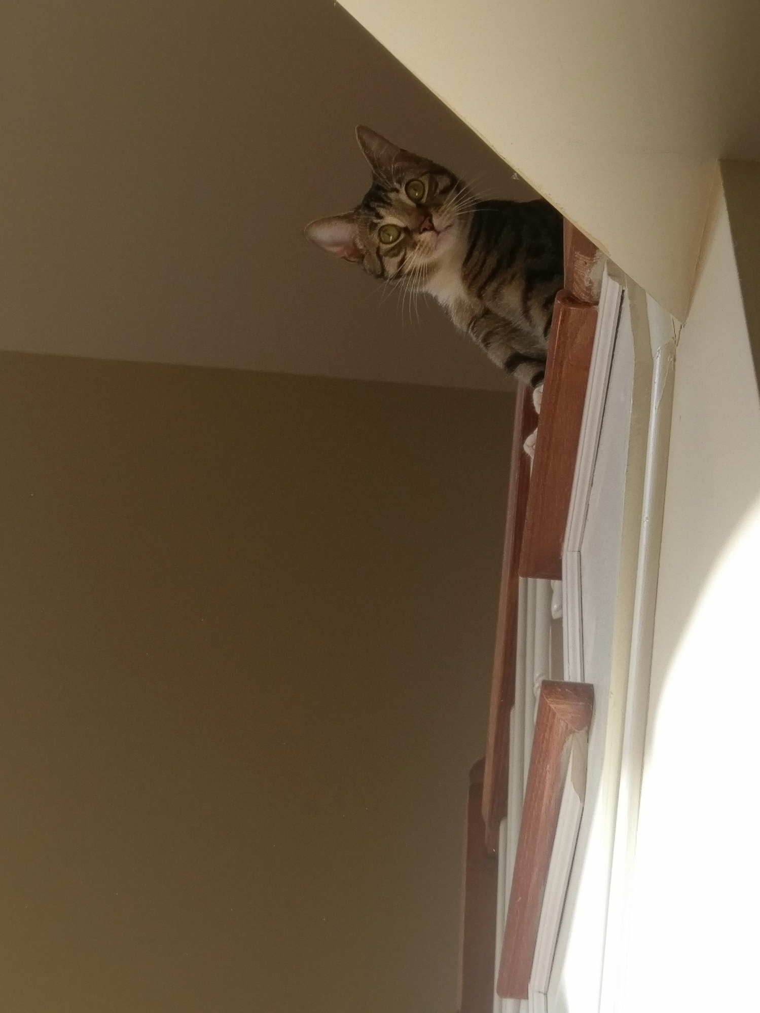 She Likes to Keep an Eye on Me...