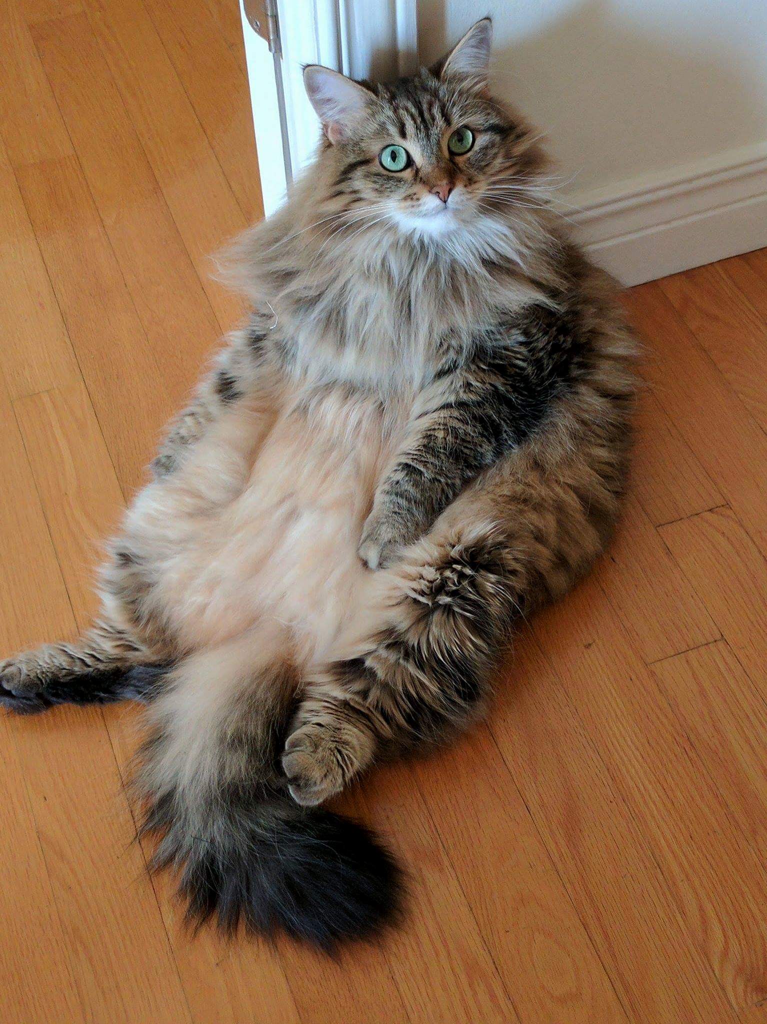 She Loves Sitting Like This Basically Everywhere