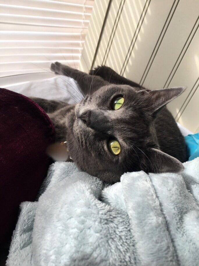 She Loves Sunbathing by the Window