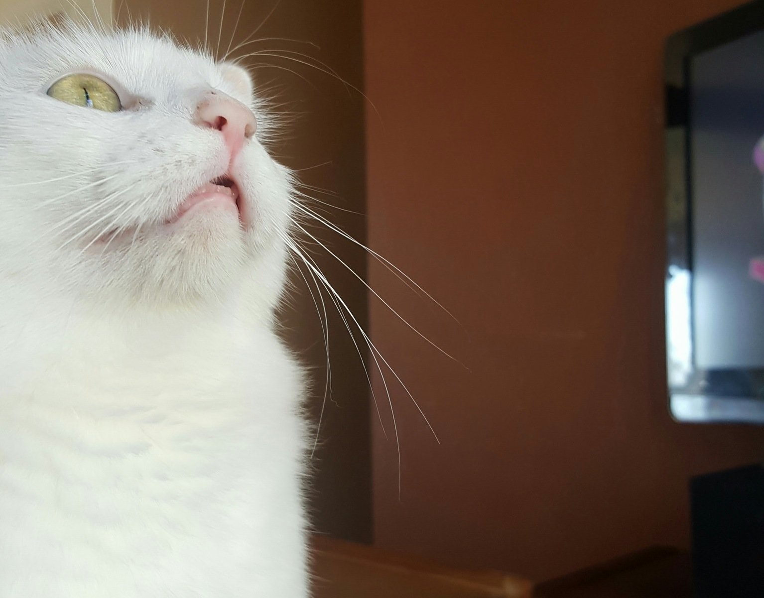 She Was Staring at the Reflection of Light from the Window That Focus Though