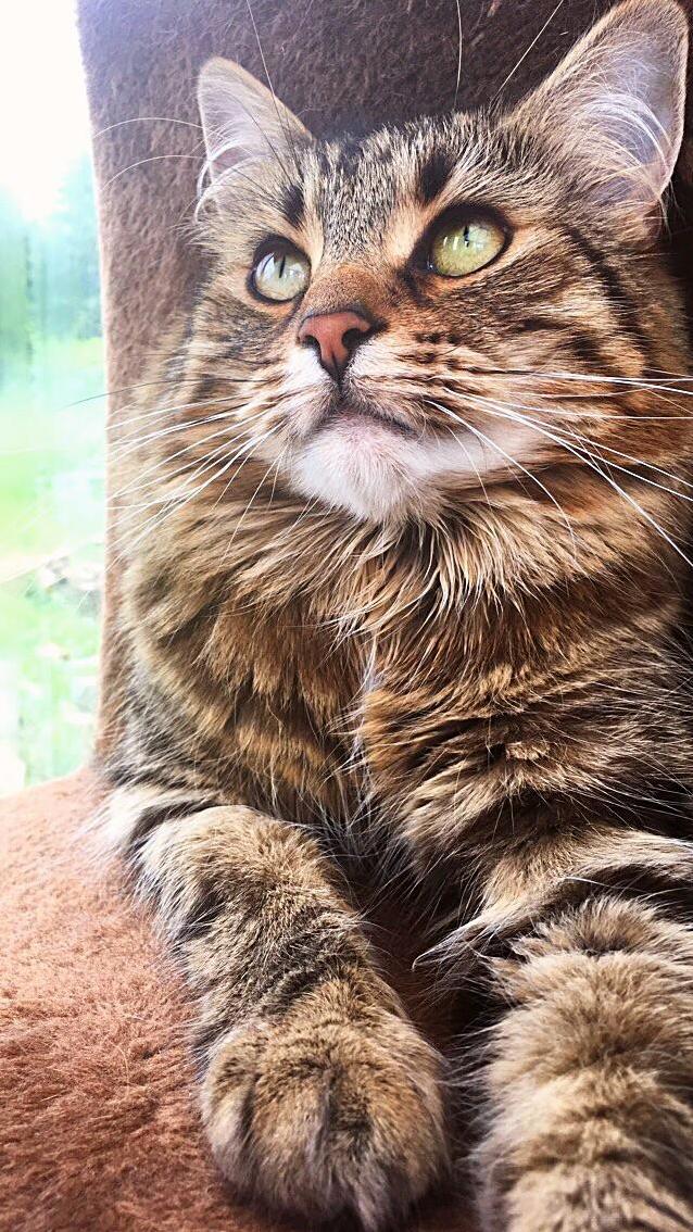 Shes Beautiful and She Knows It