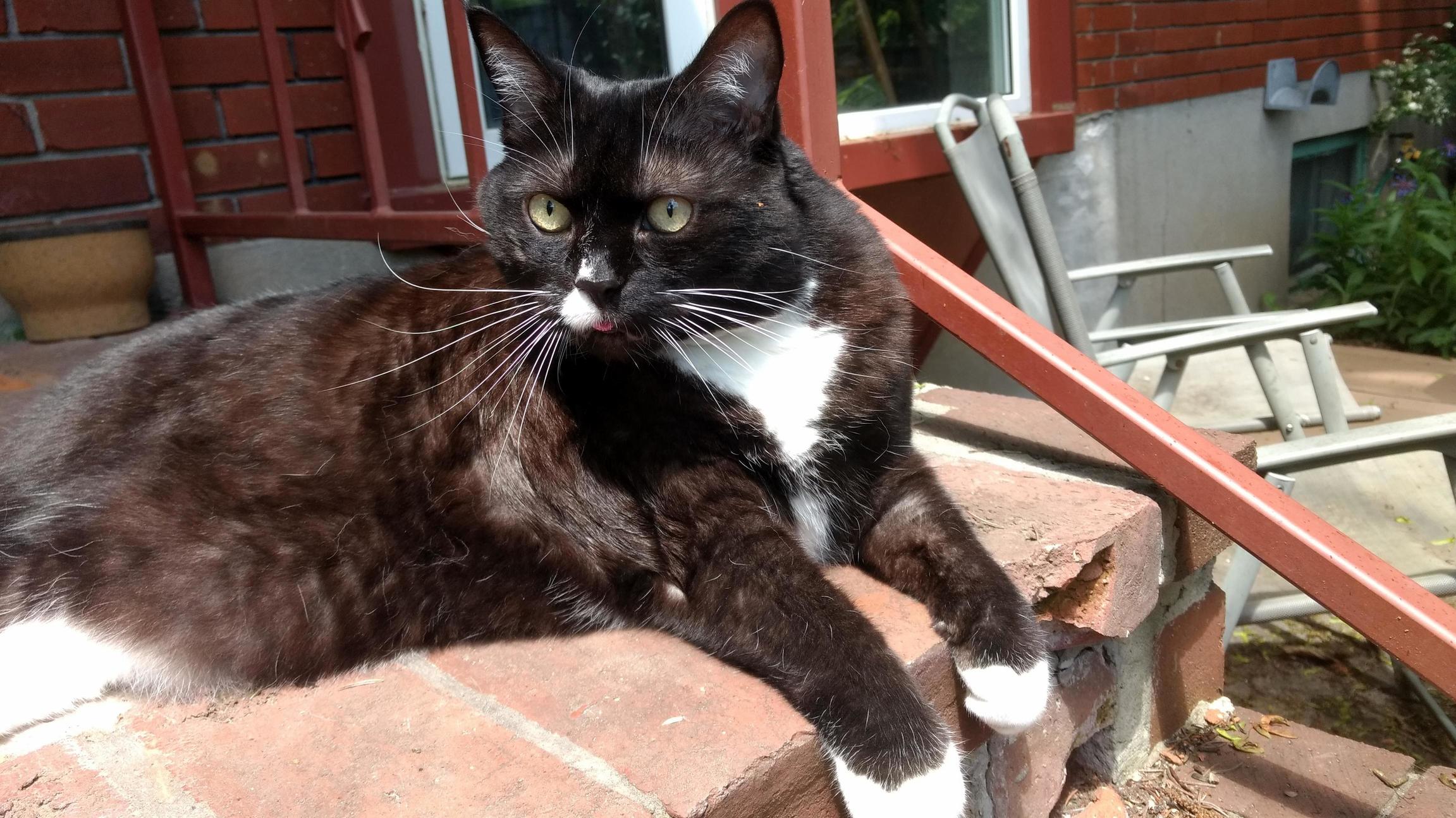Shes Known for Her Dignity and Grace
