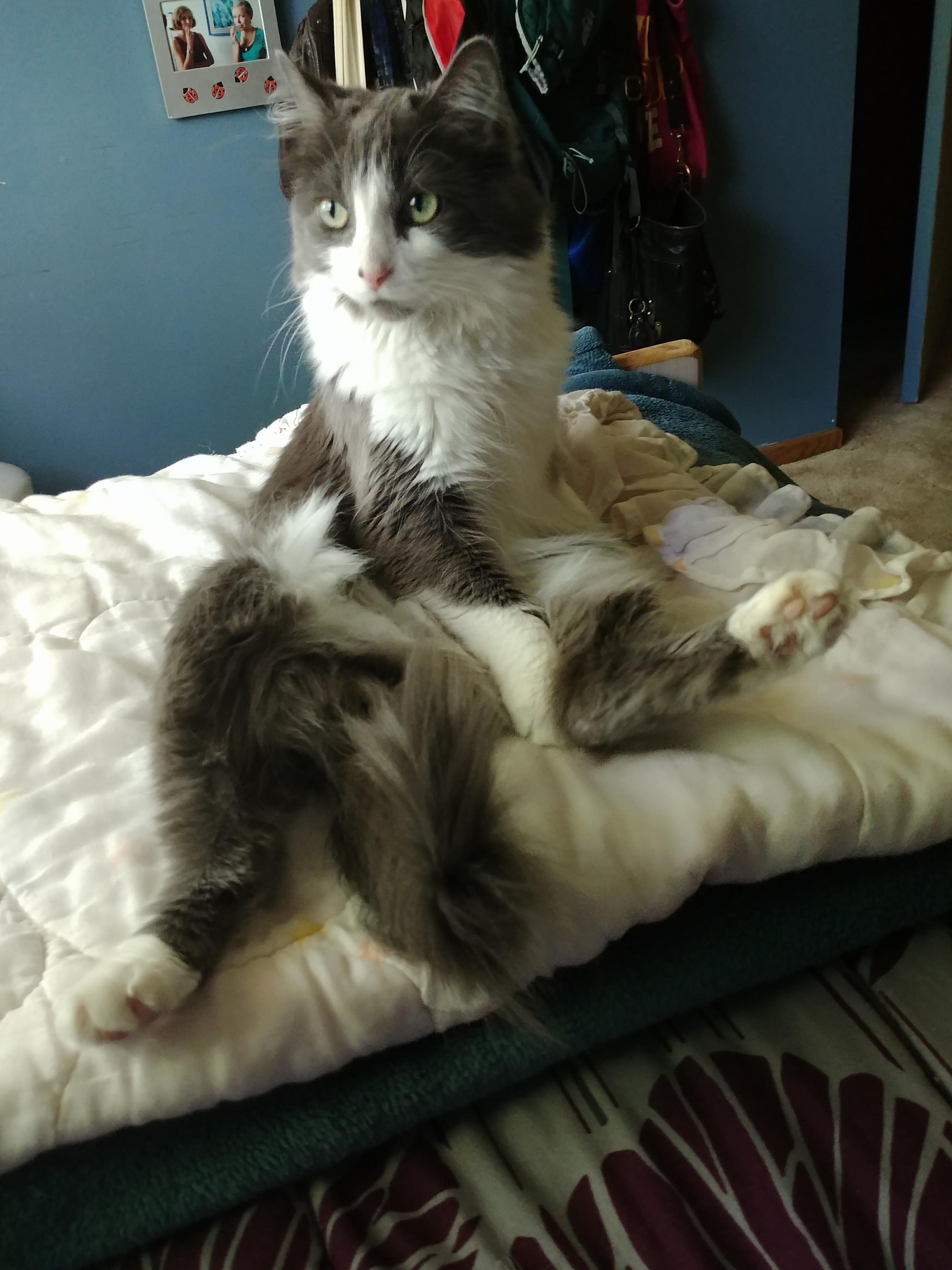 Shes My Little Tramp