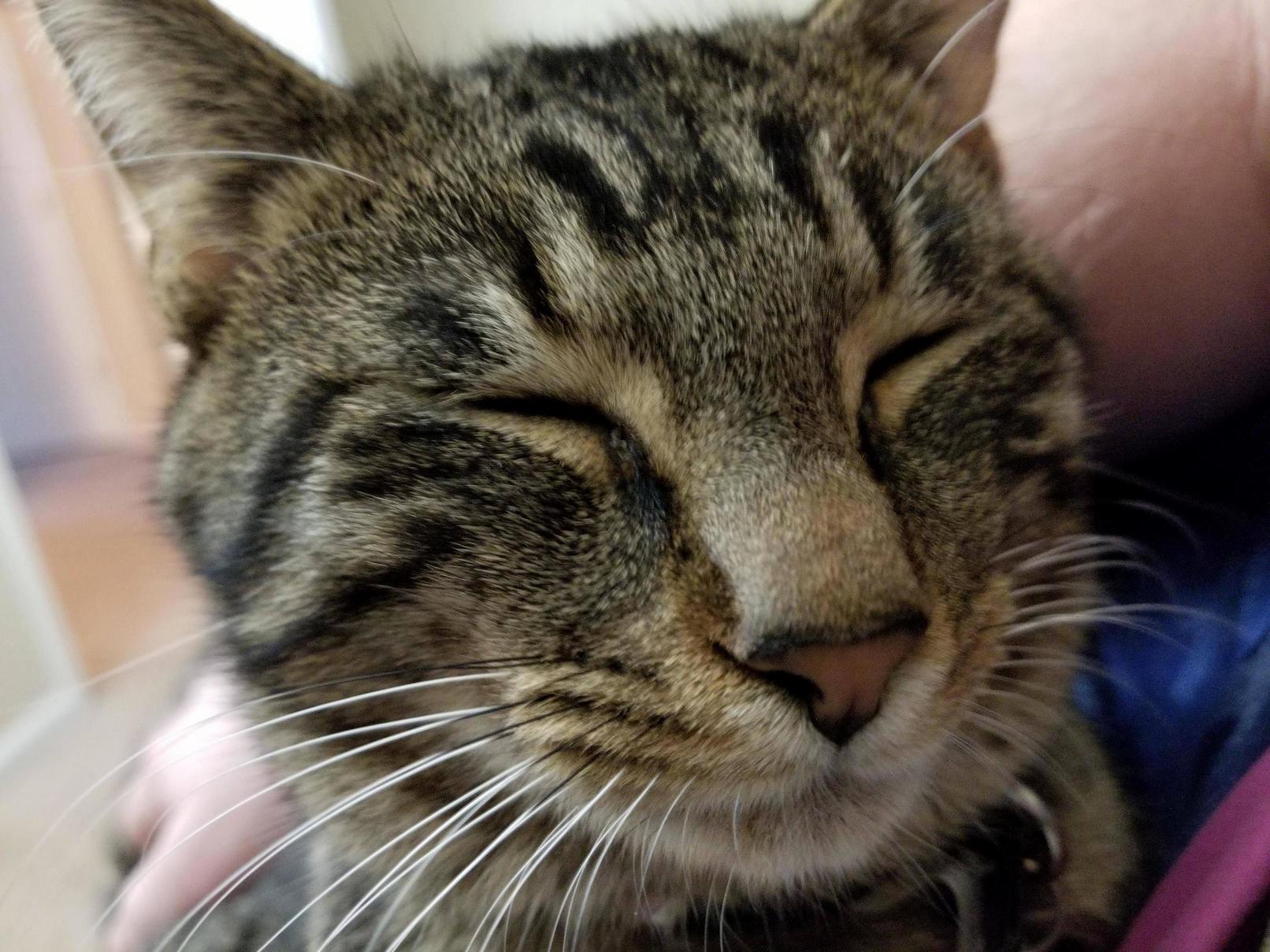 Simon Always Makes This Face