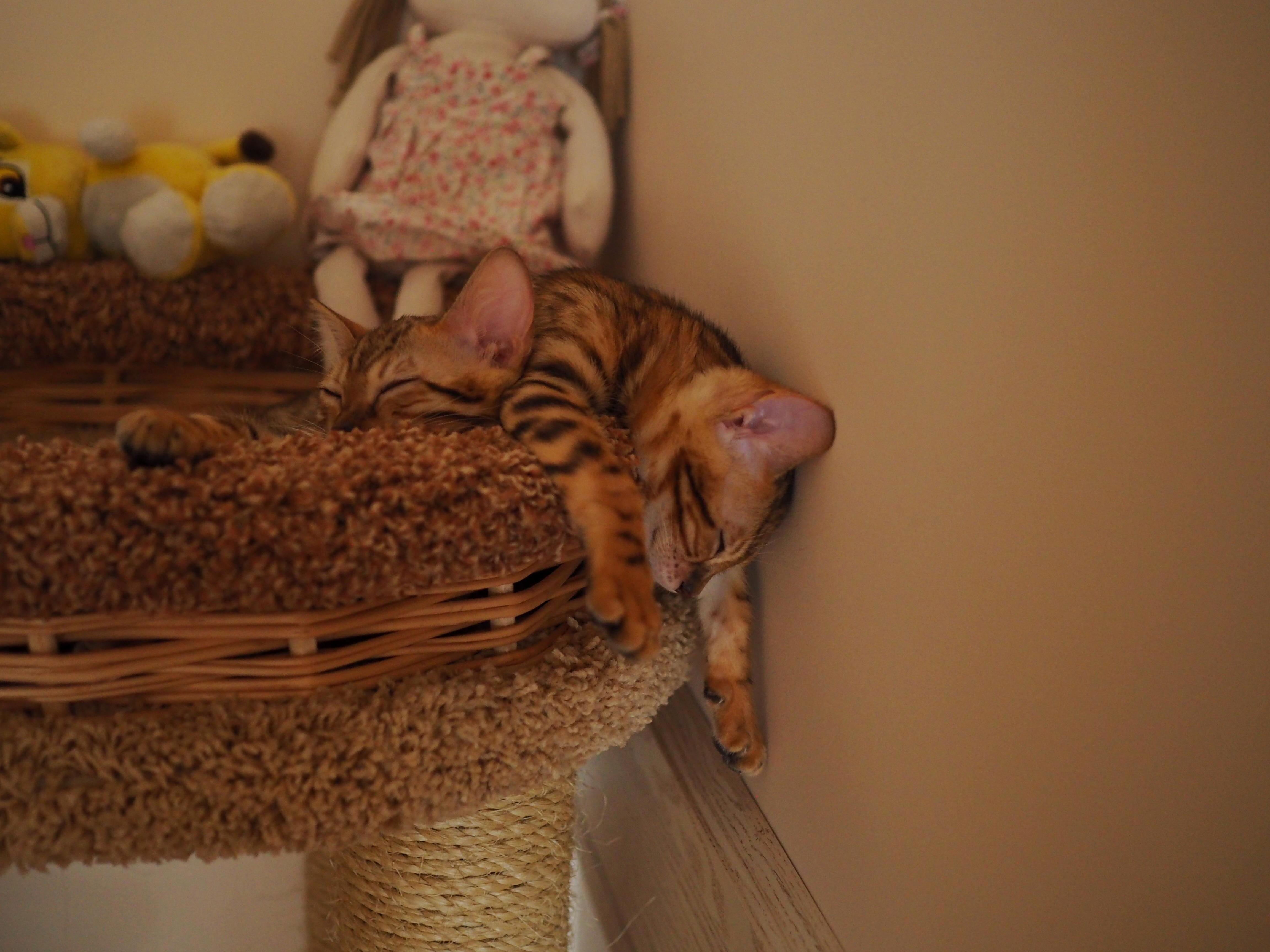 Sleep ...