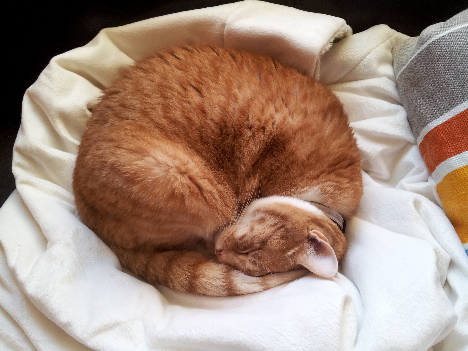 Sleeping in Circles.