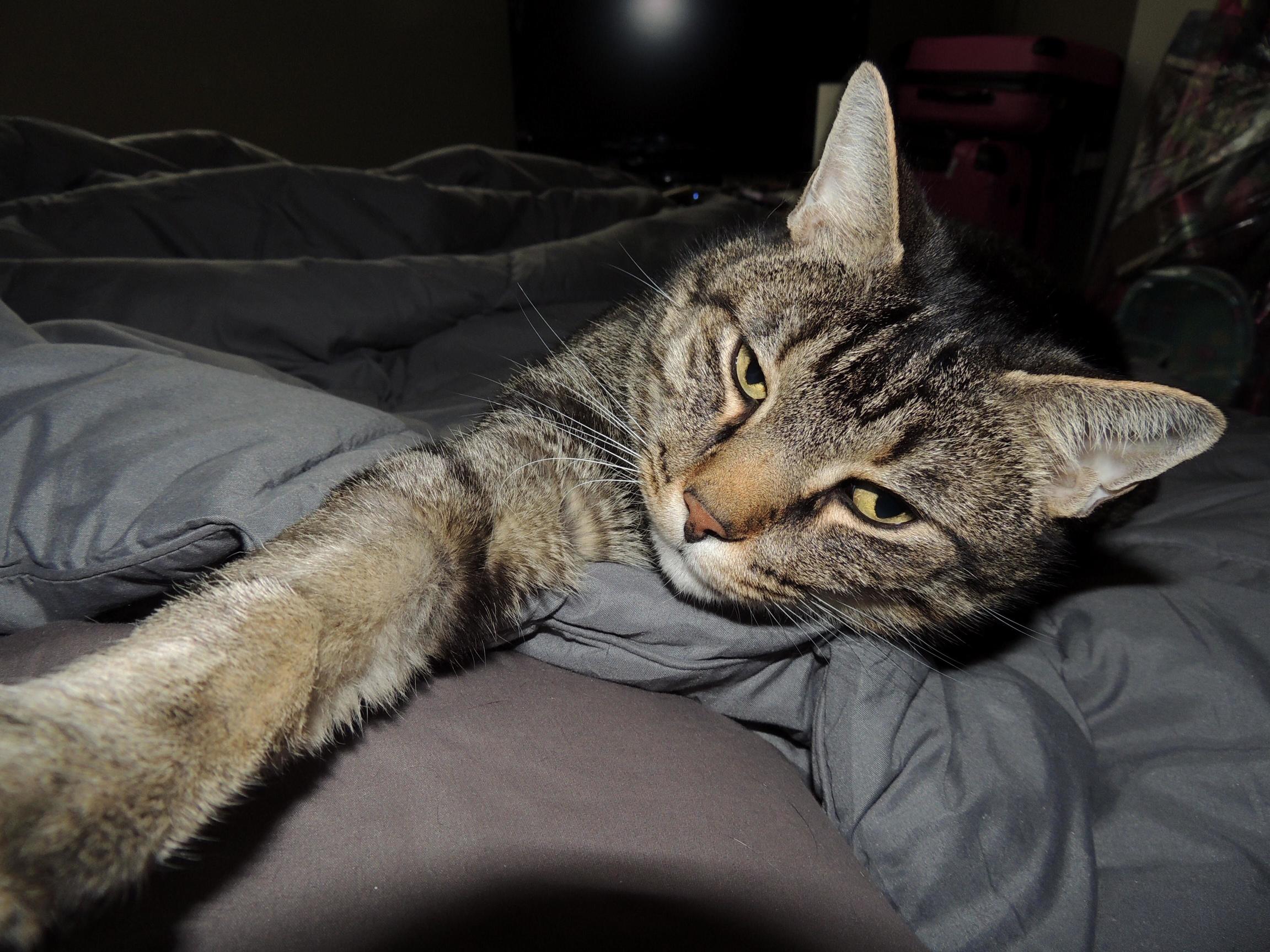 Sleepy (1)