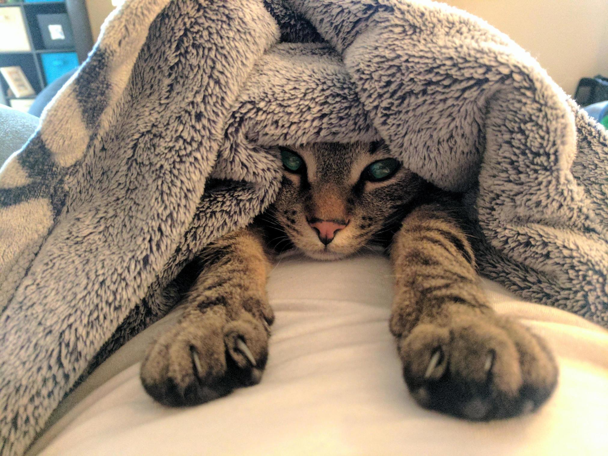 Sleepy Little Buddy