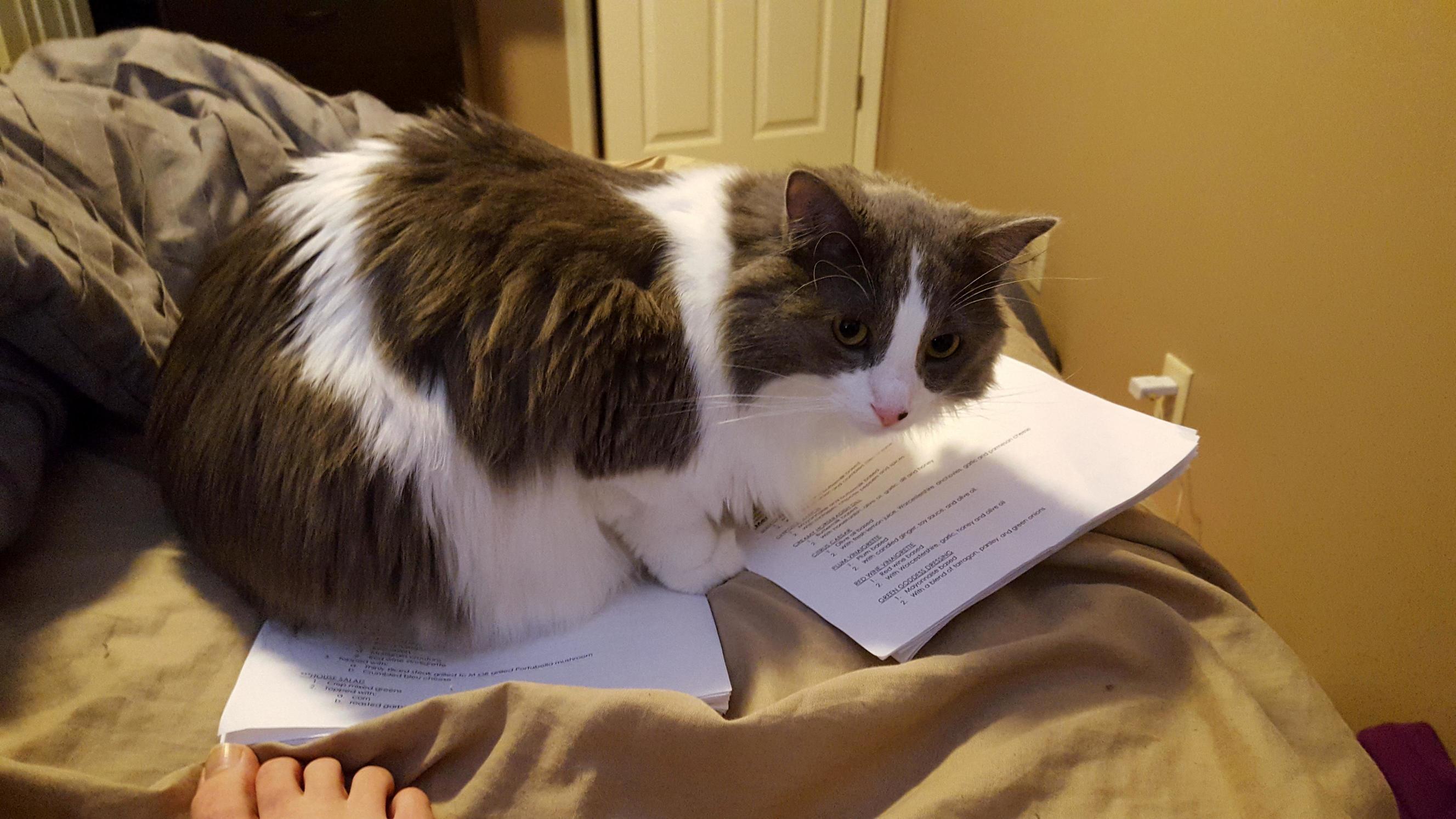 So Much for Studying
