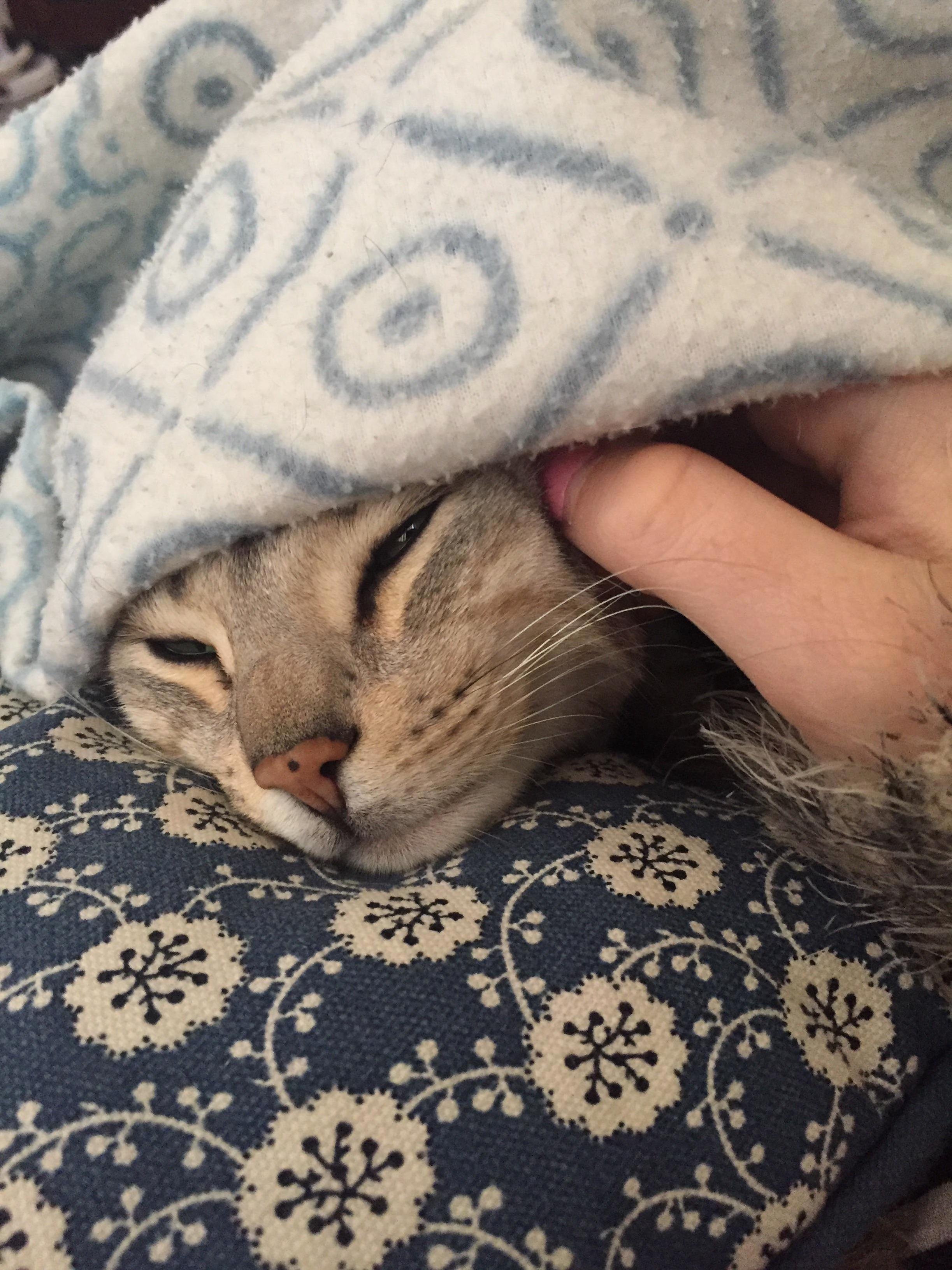 So Snugly