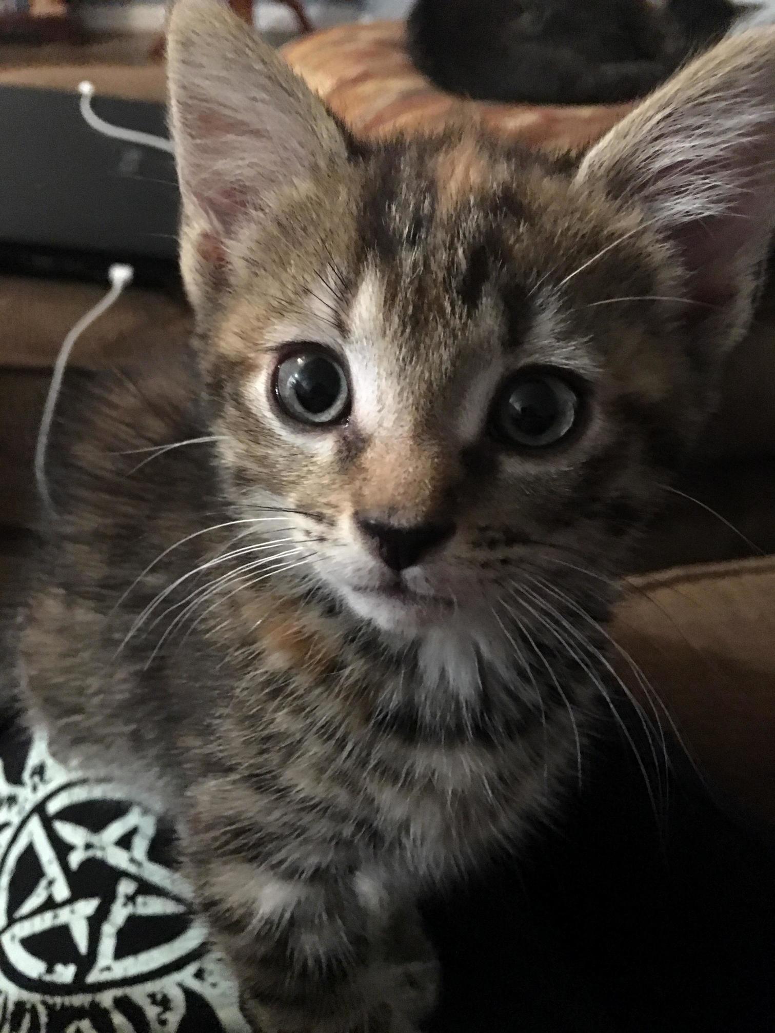 Somebody Wants Attention