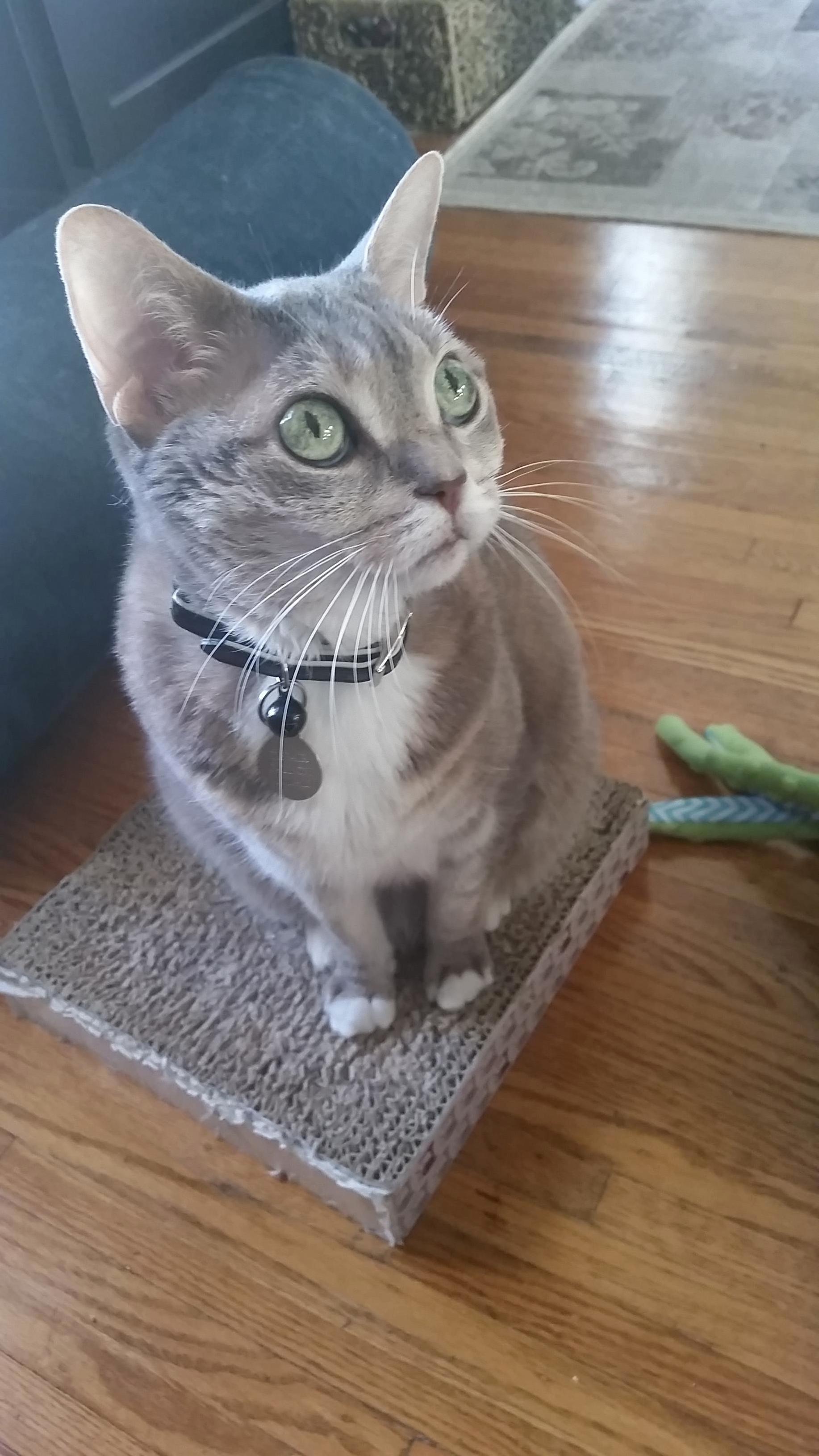 Sometimes I Have a Hard Time Believing She Is Really 13 Years Old.