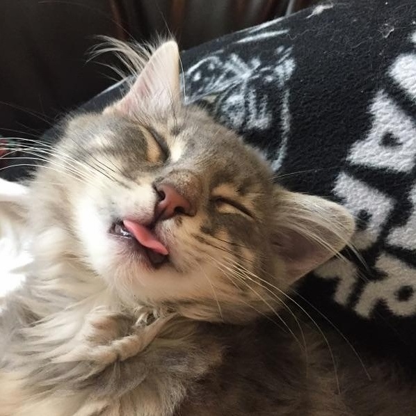 Sunday Funday Tongue Out Hangout