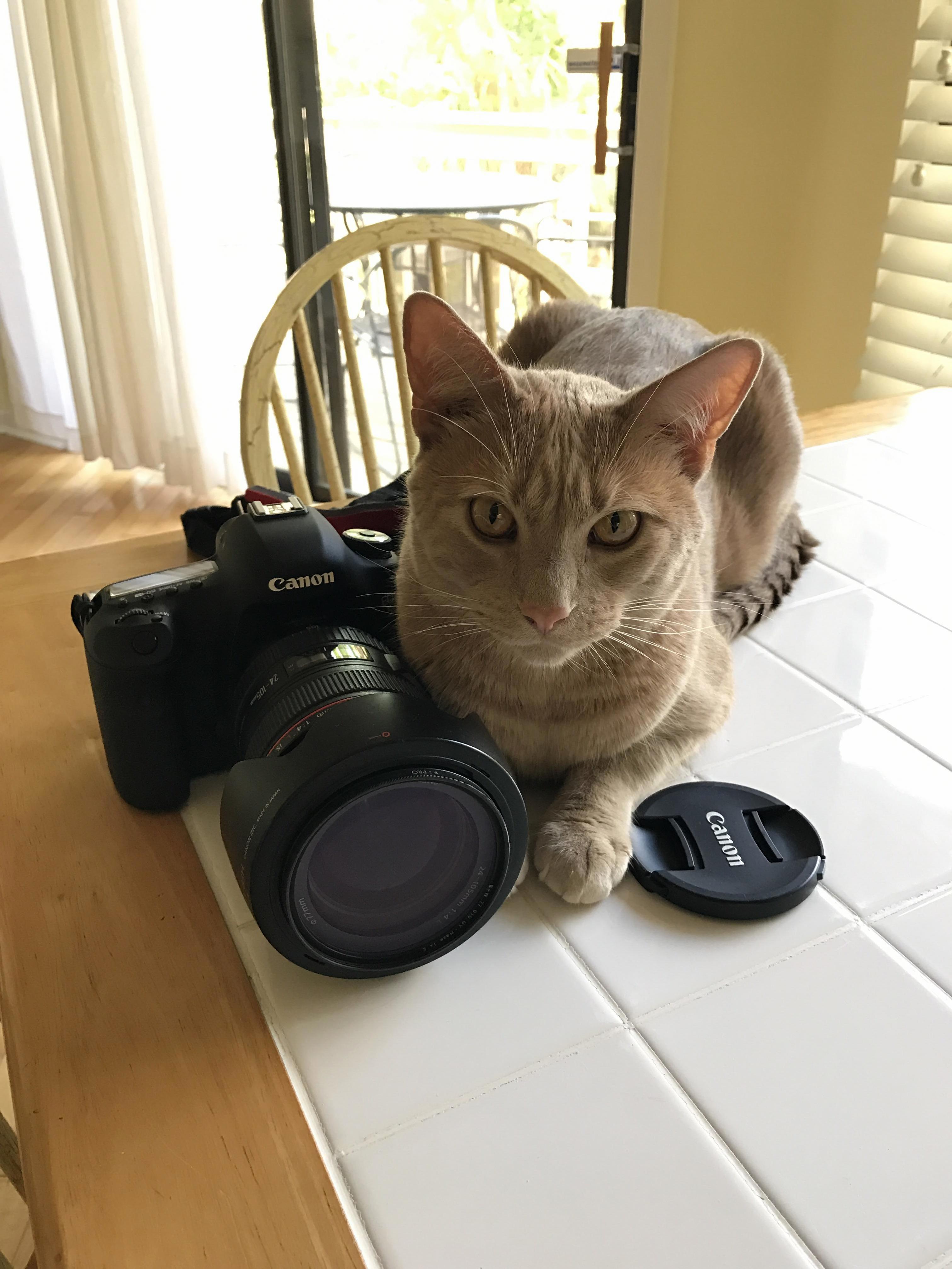Sunny Is an Exclusively Canon Photographer