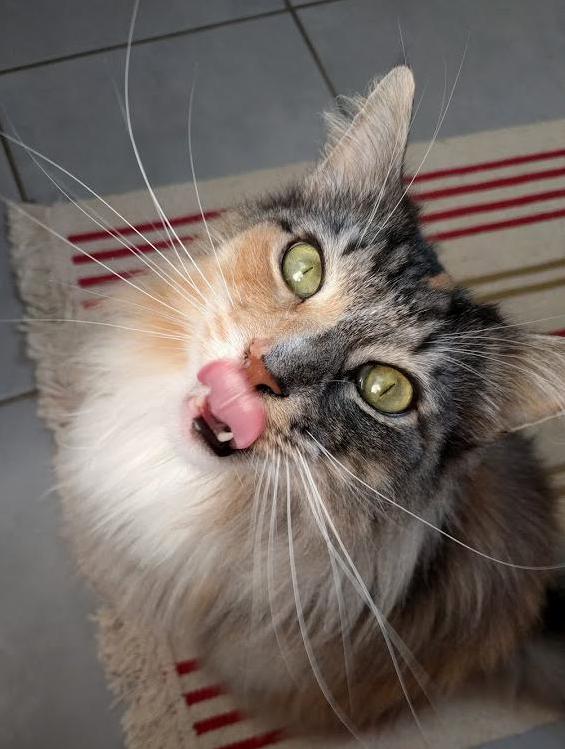 Tara Is Very Hungry. Like... All the Time