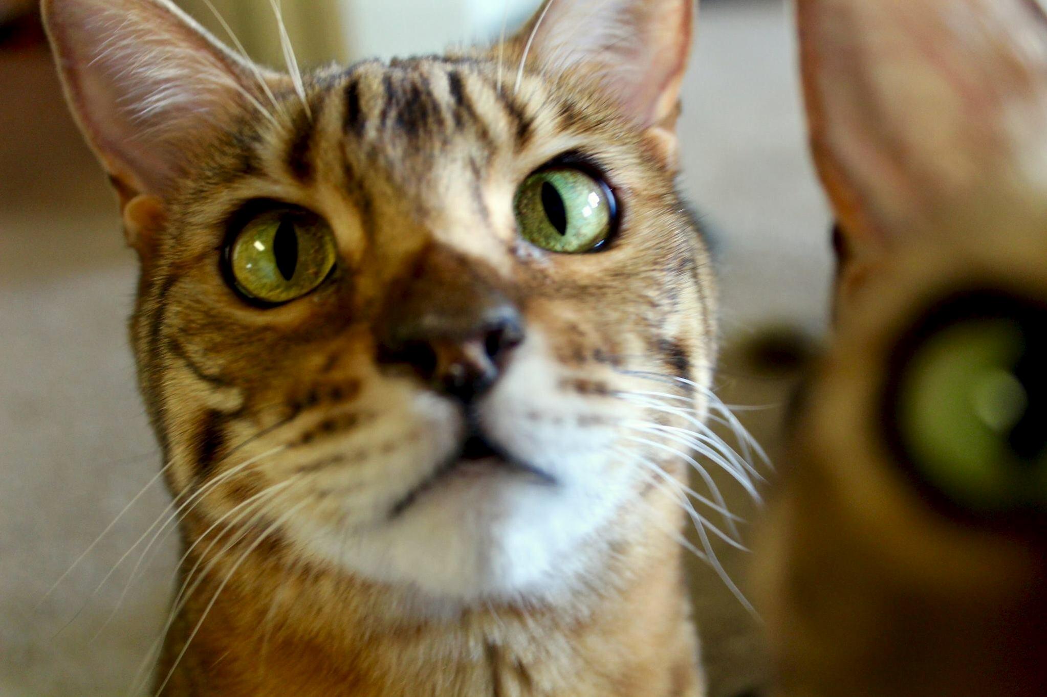 Testing Out My Camera and Then This Happened.