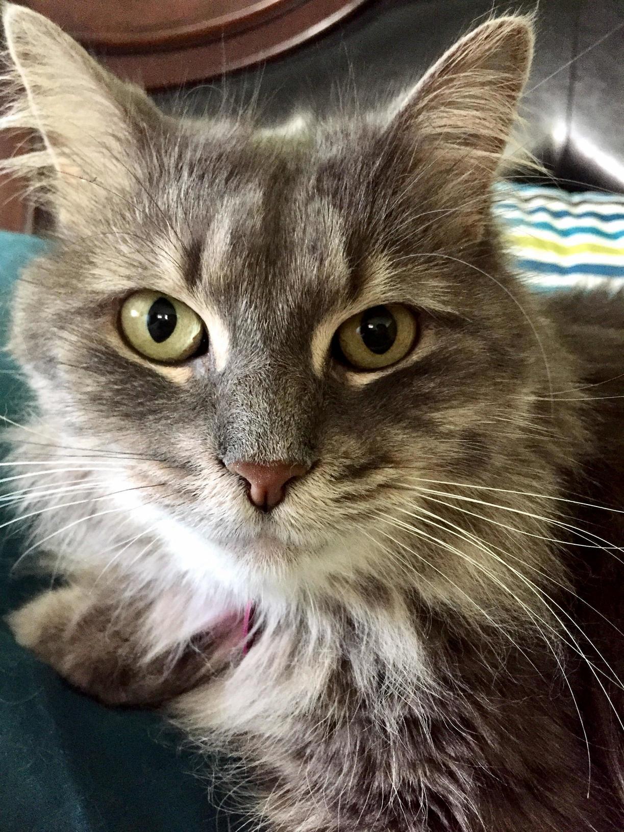That Beautiful Face. Staring Right Into Your Soul.