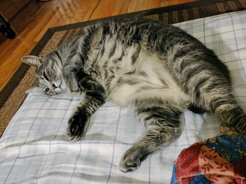 That Thousand Yard Stare...