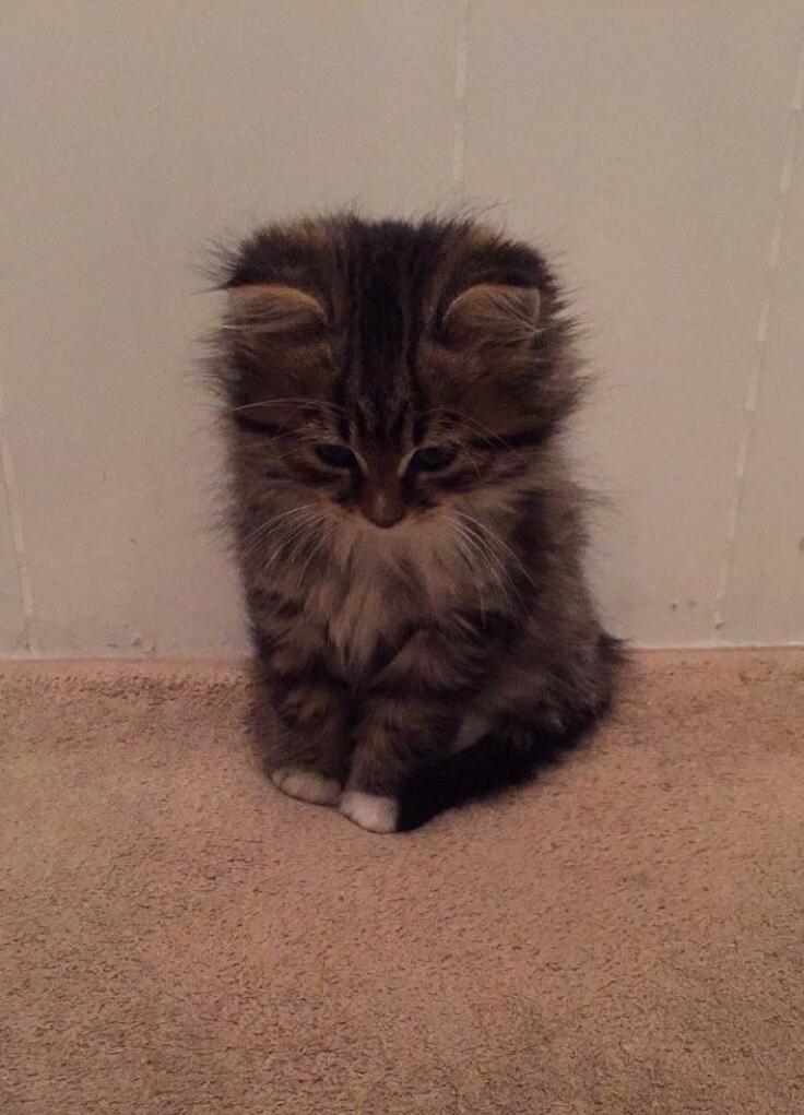 The Day We Brought Her Home
