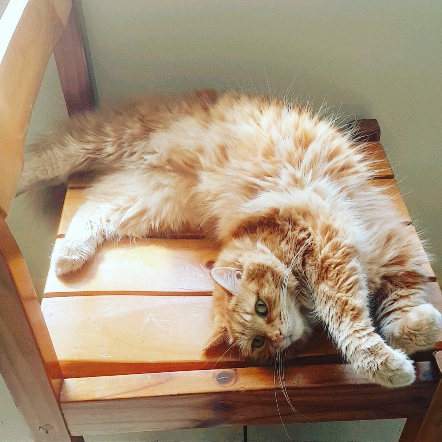 The Kraken Is Practising Her Camouflage Techniques.