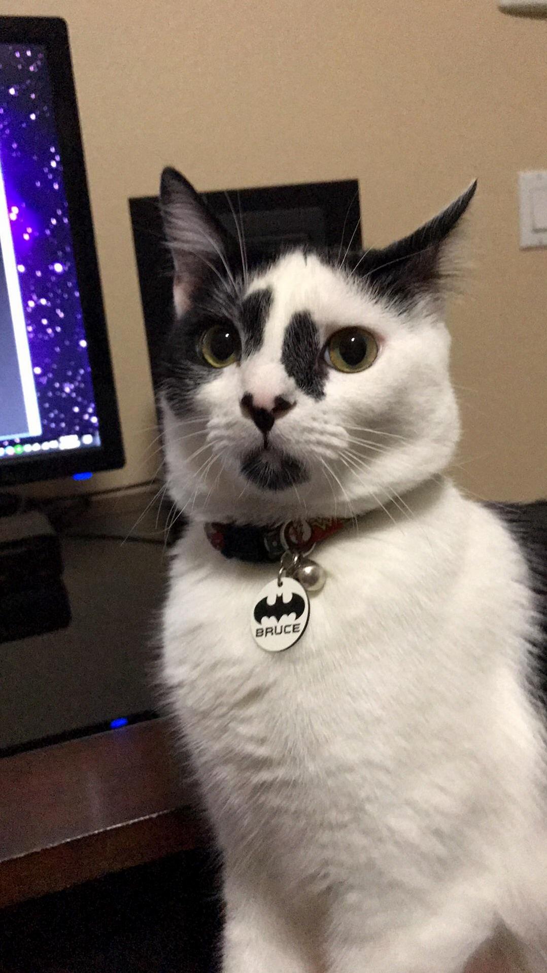 The Look He Gives Me After I Sneezed Lol