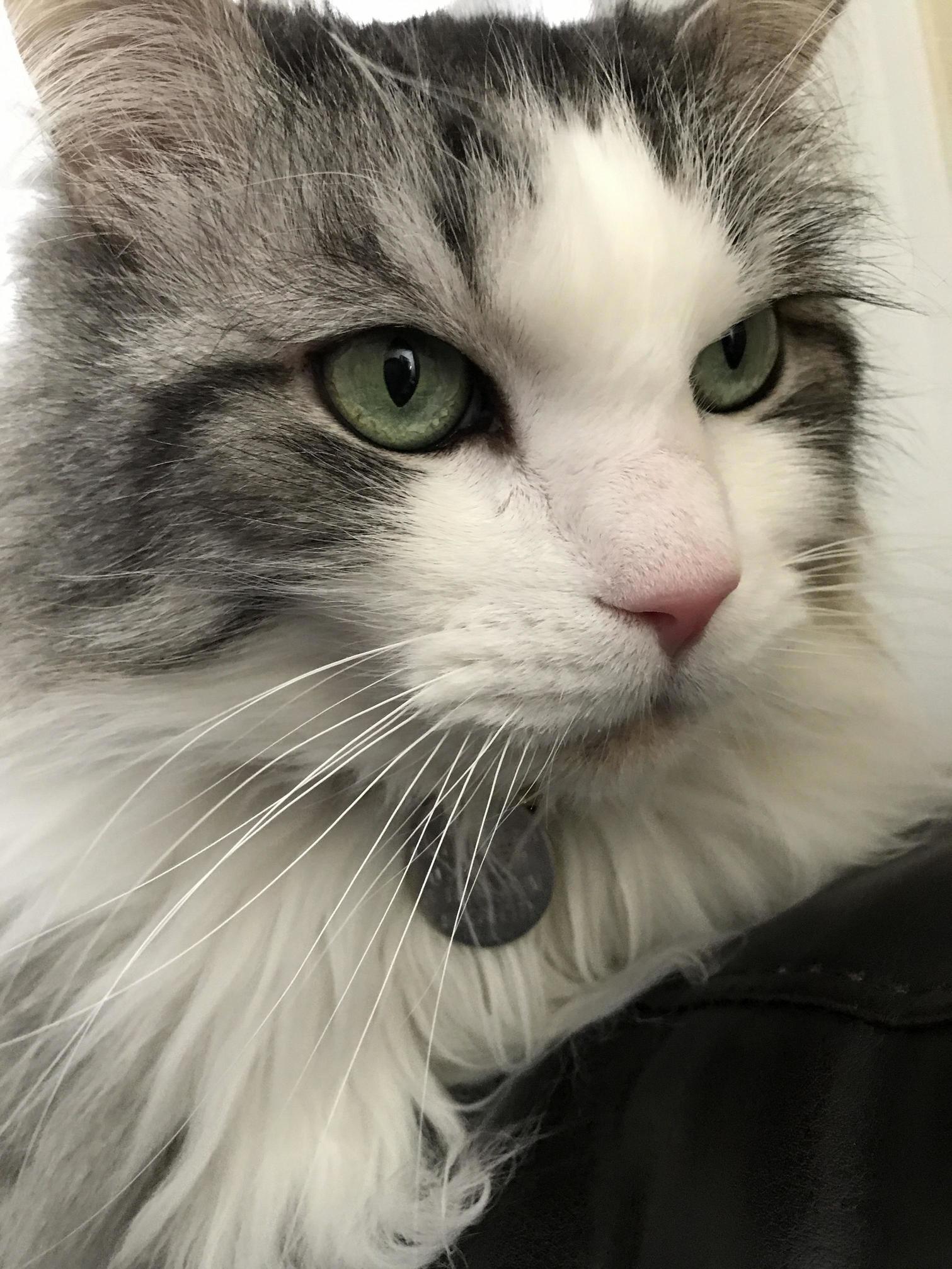 Them Eyes