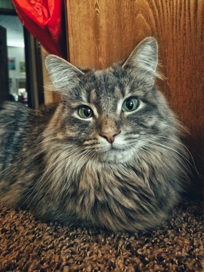 This Beauty Is Two Happy Birthday Uma