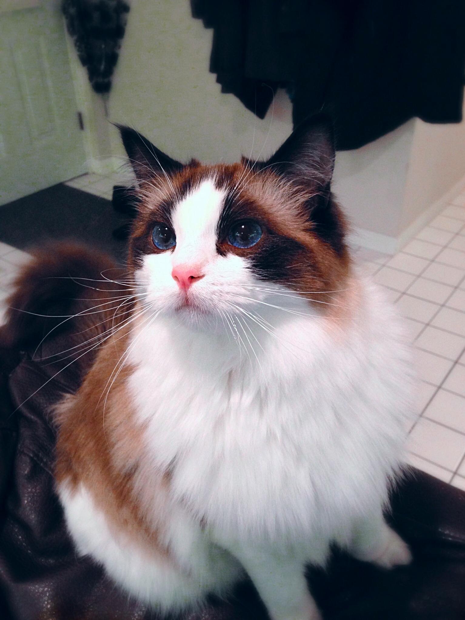 This Cutie Turned 4 Today