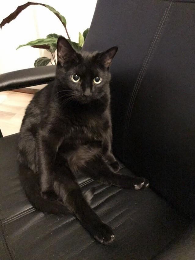 This Dang Weirdo.