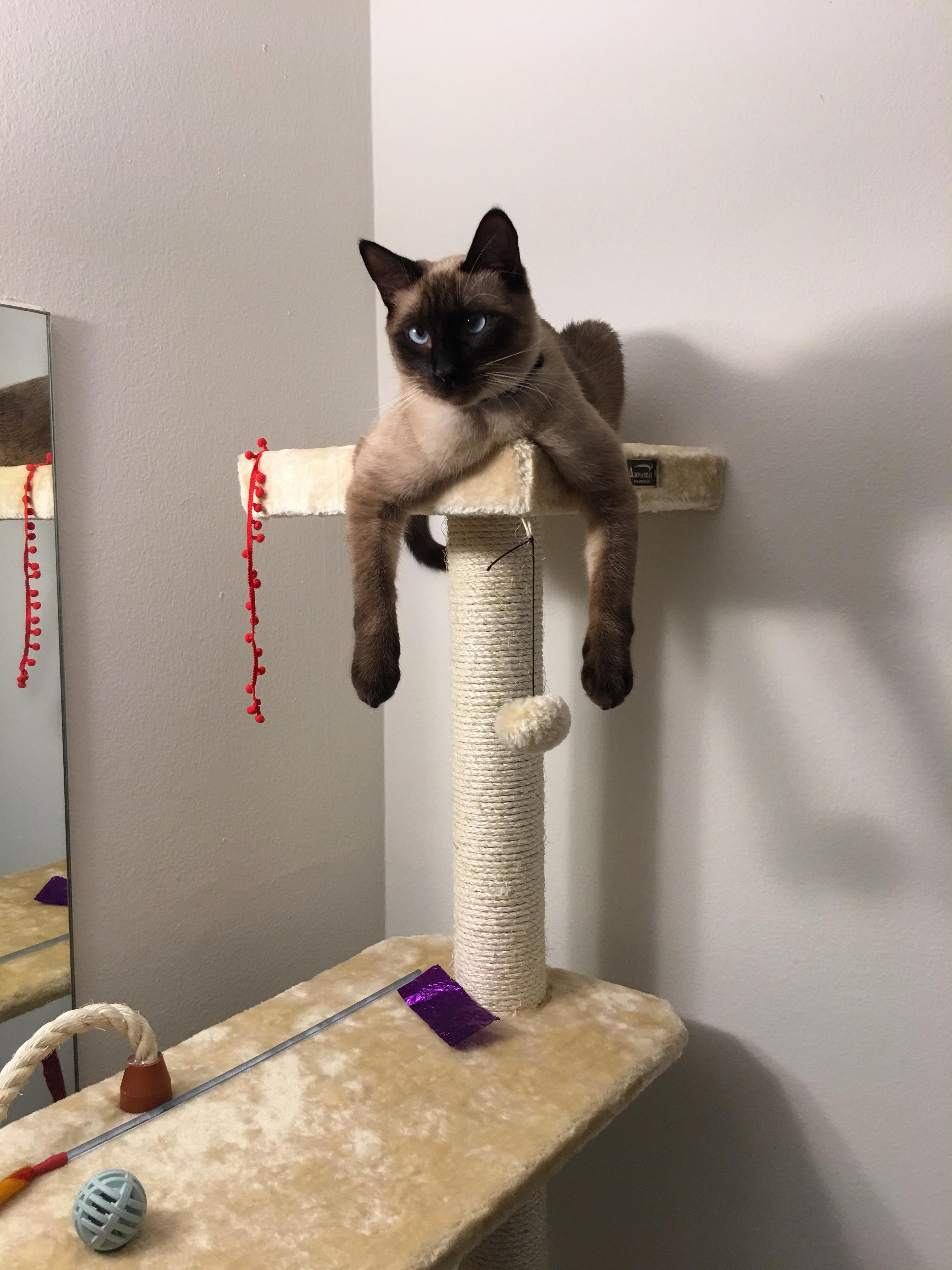 This Doesnt Look Comfortable.