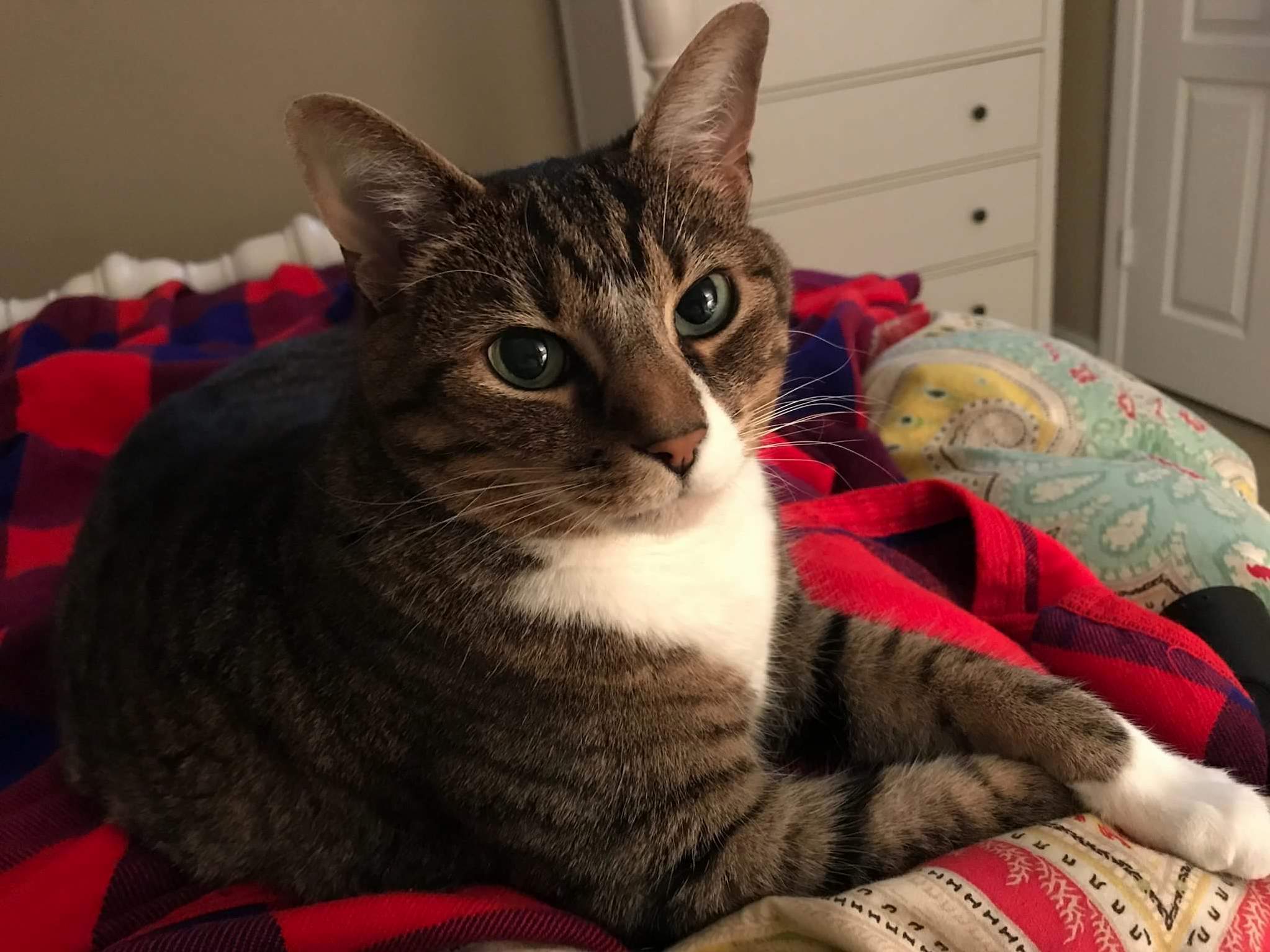 This Is Bubba