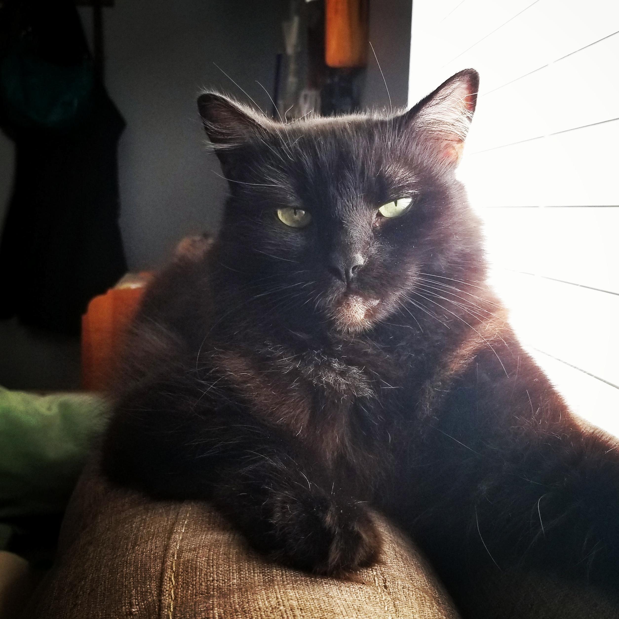 This Is Indys Dont Mess with Me Face.