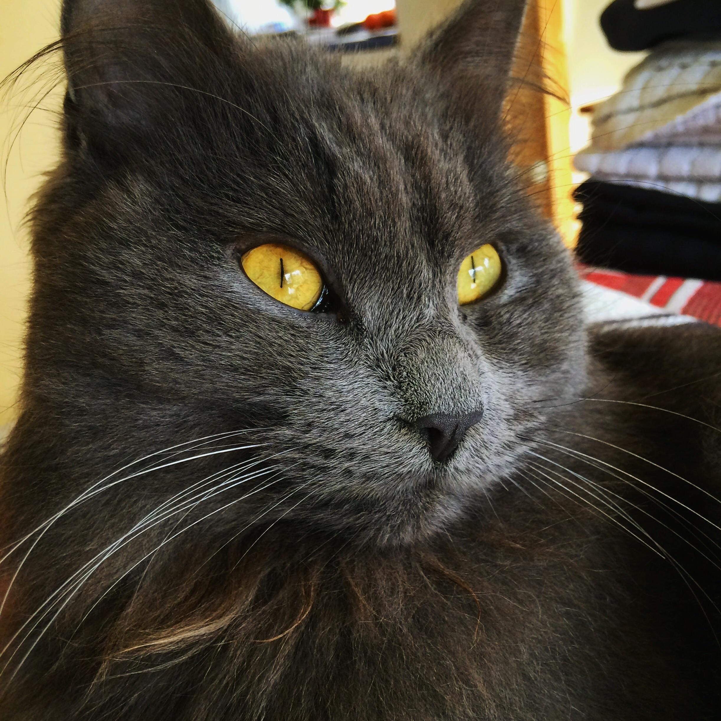 This Is My Big Handsome Boy Frank Im Attending School Away from Him and I Miss Him Very Badly.