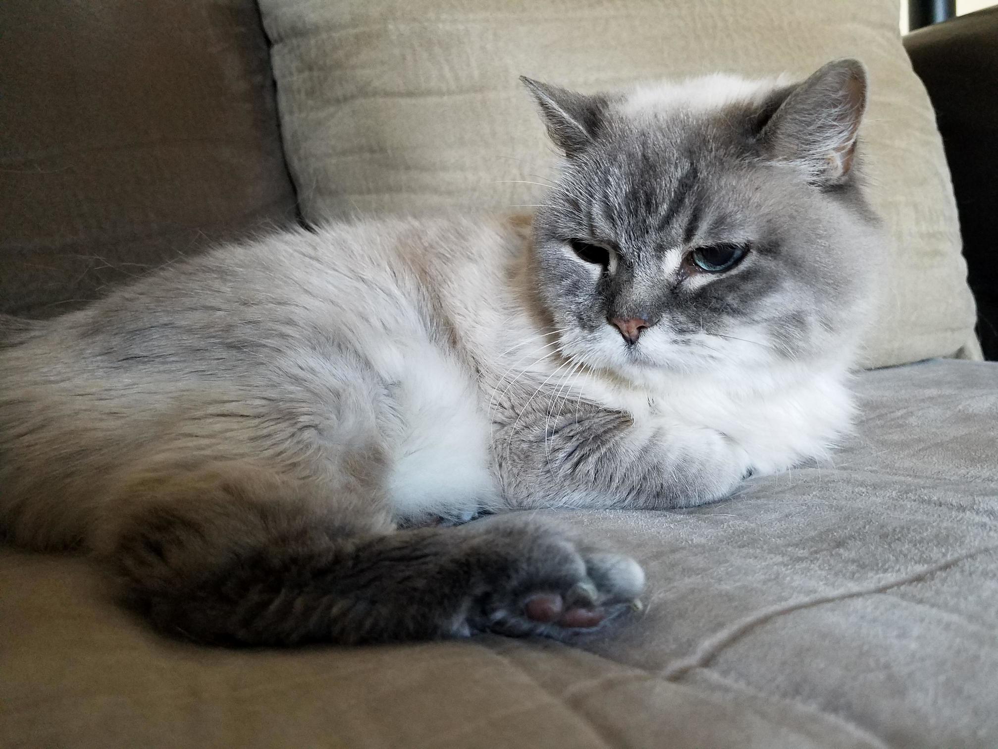 This Is Summer. She Is 20 Years Old.