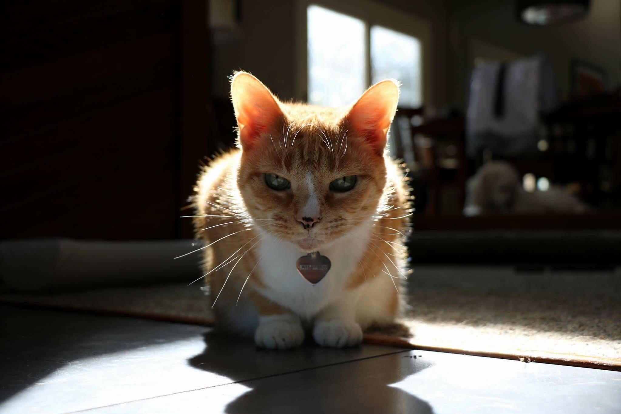 This Is Sunshine and Shes Perfect.