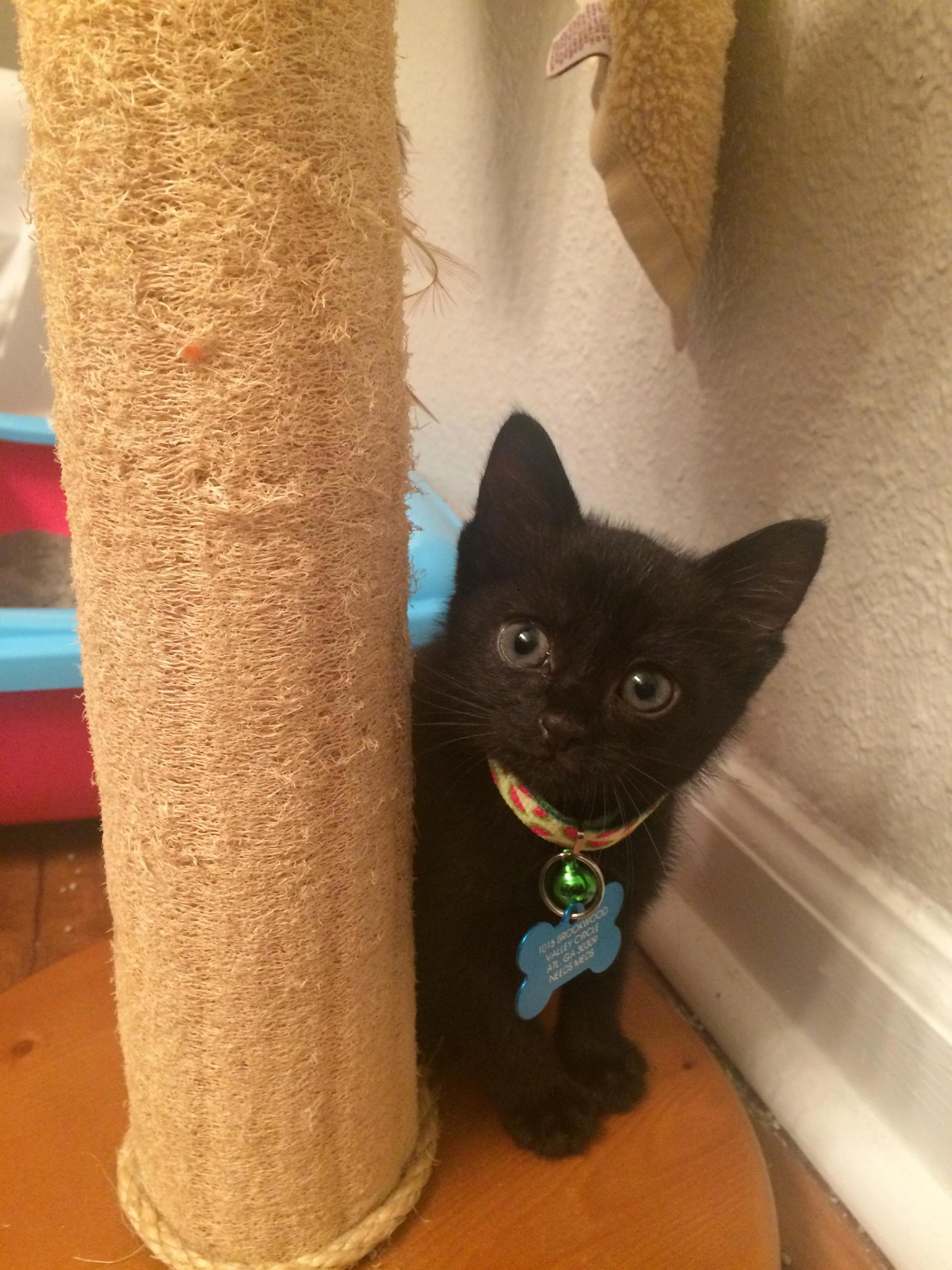 This Is Titan and Shes My Sweet Midnight Beauty