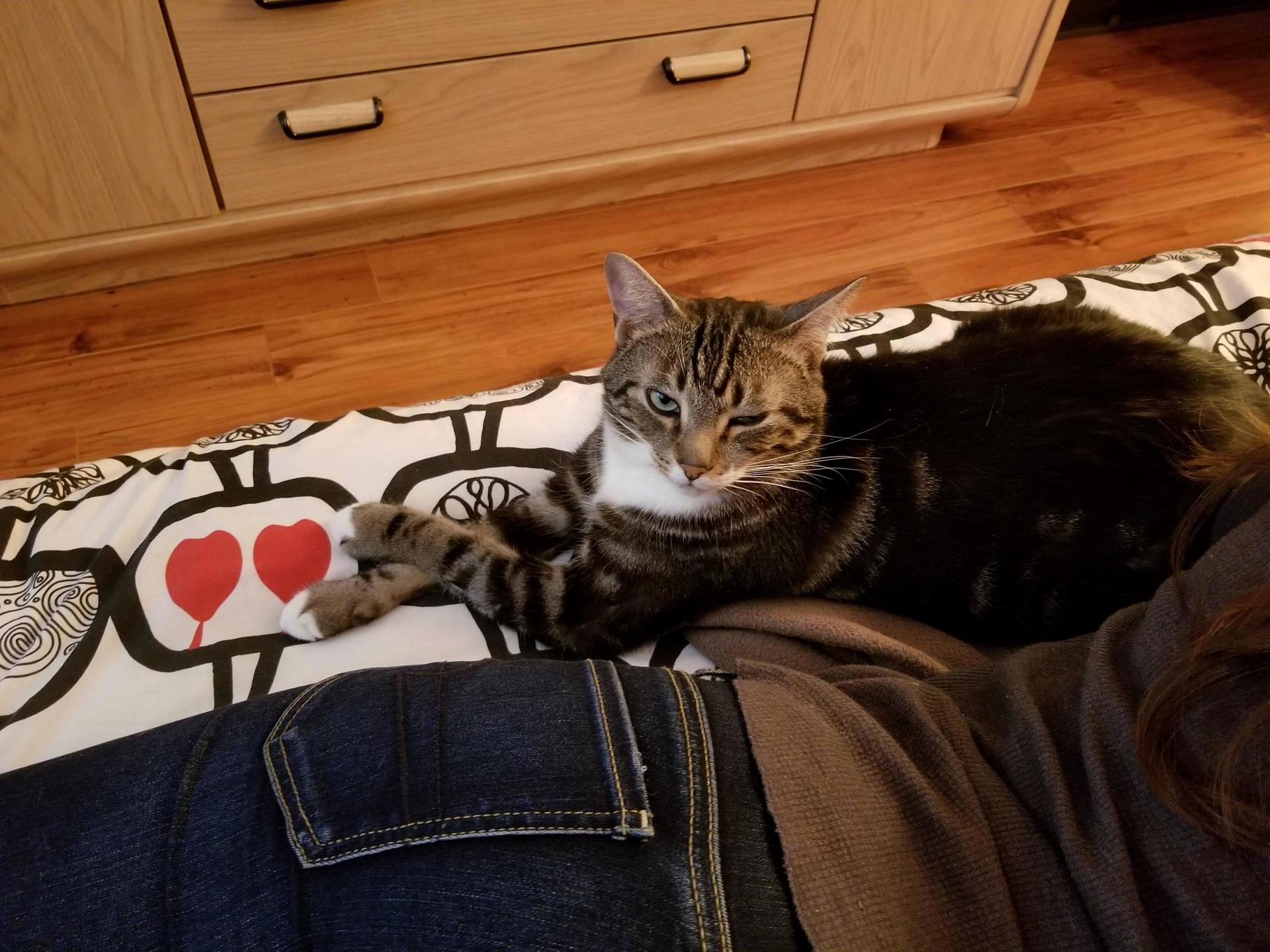 This Was Rivers Face After I Called Him a Pretty Prissy Pants.