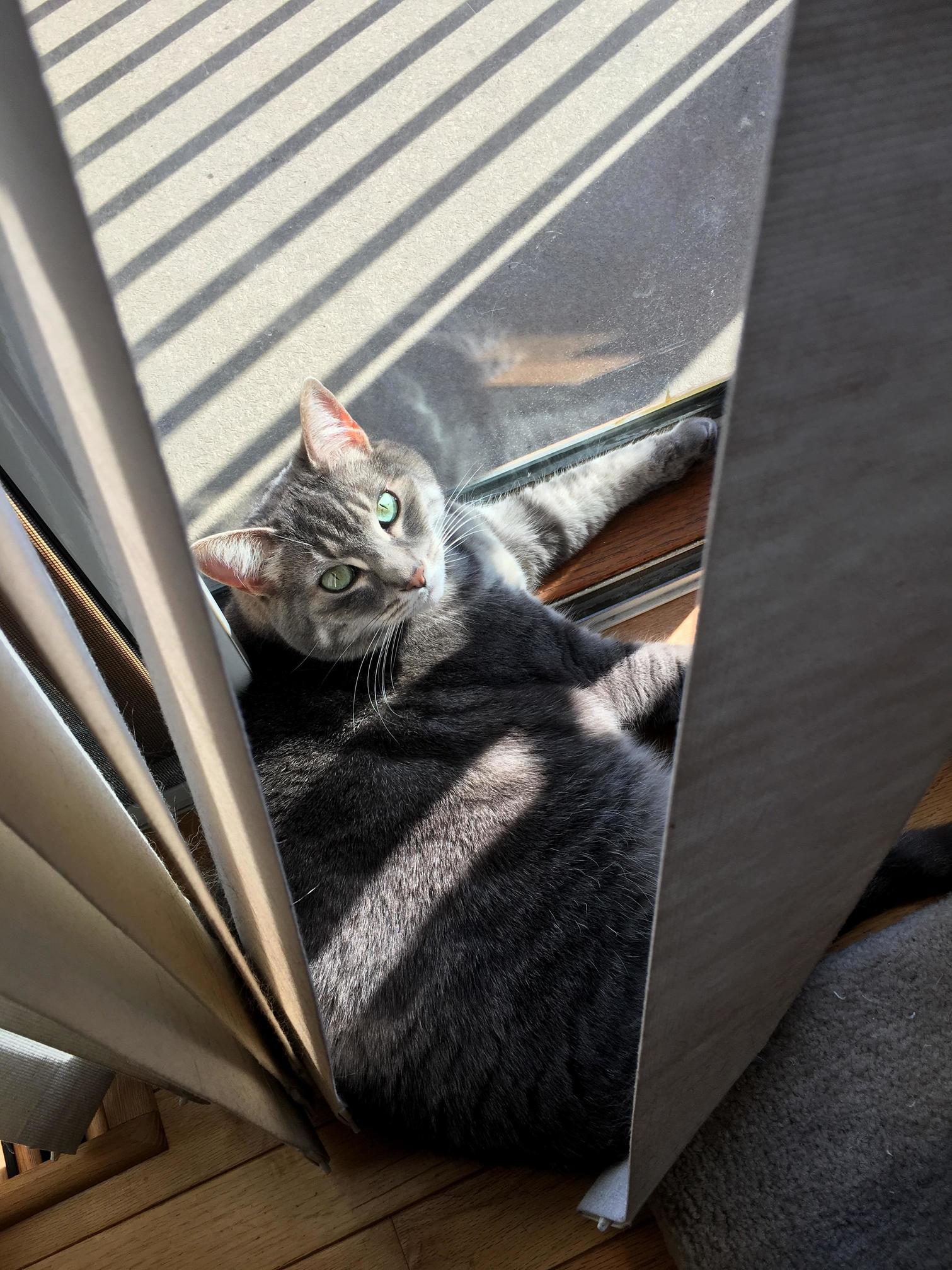 Those Eyes Though