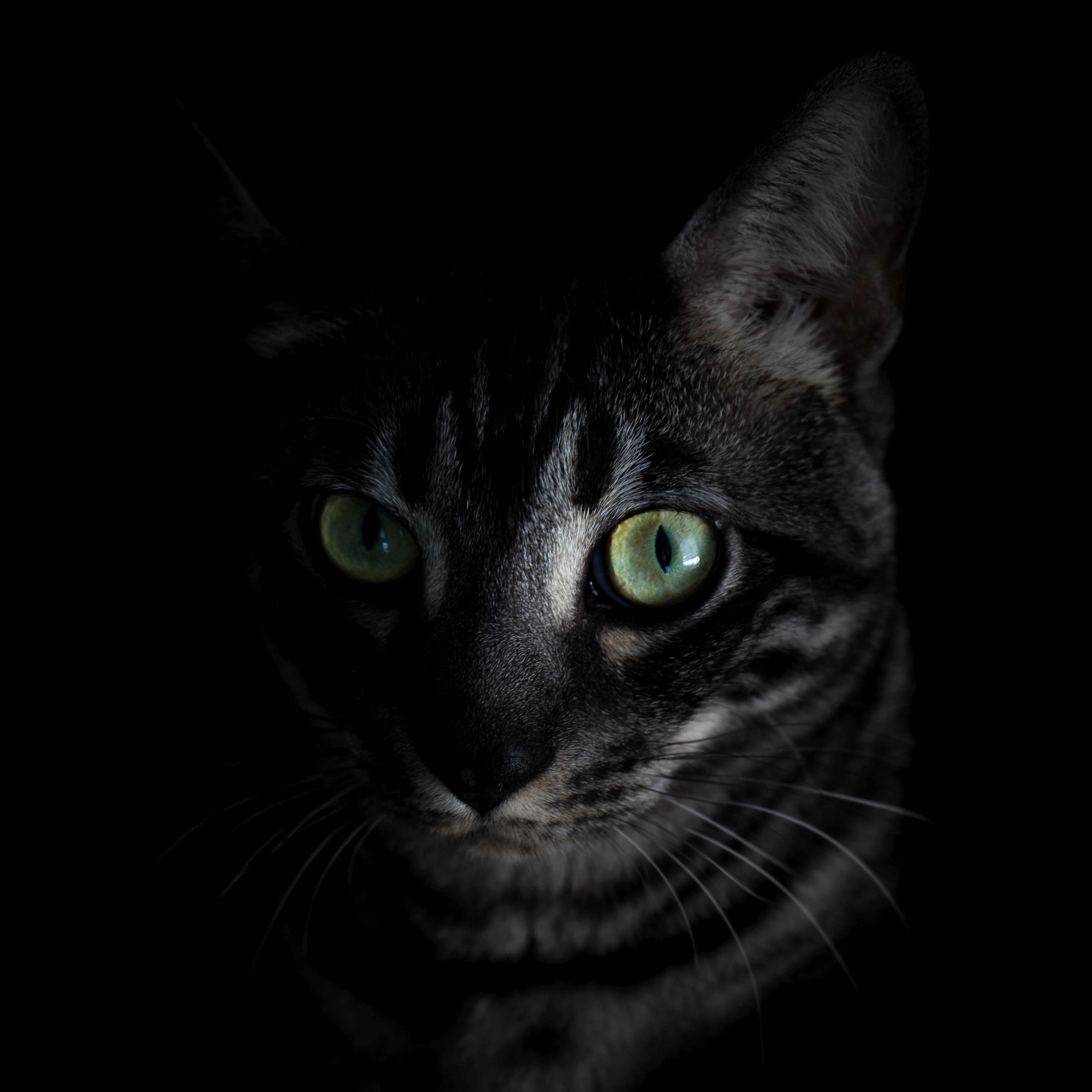 Took This Picture of Ma Dude.