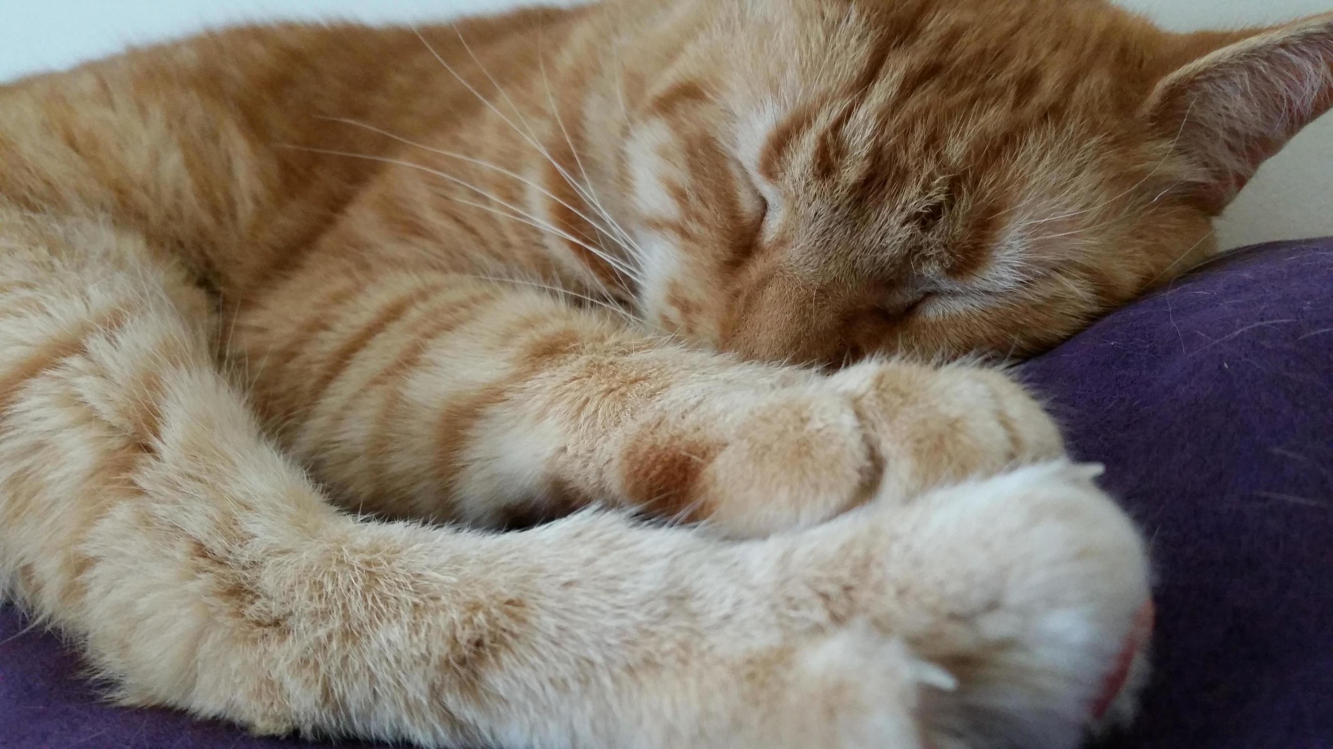 Tootsies for Tickling