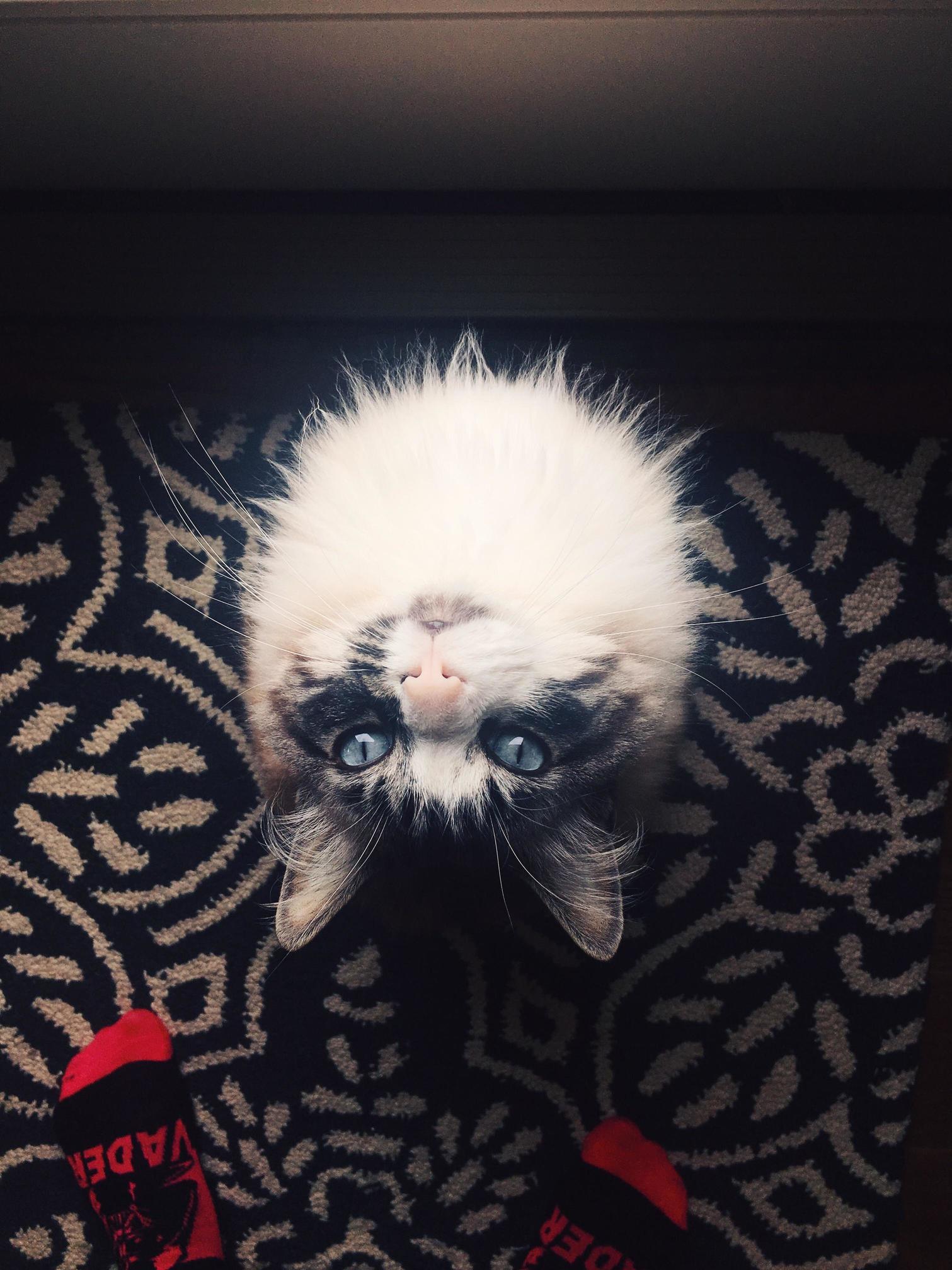 Upside Down