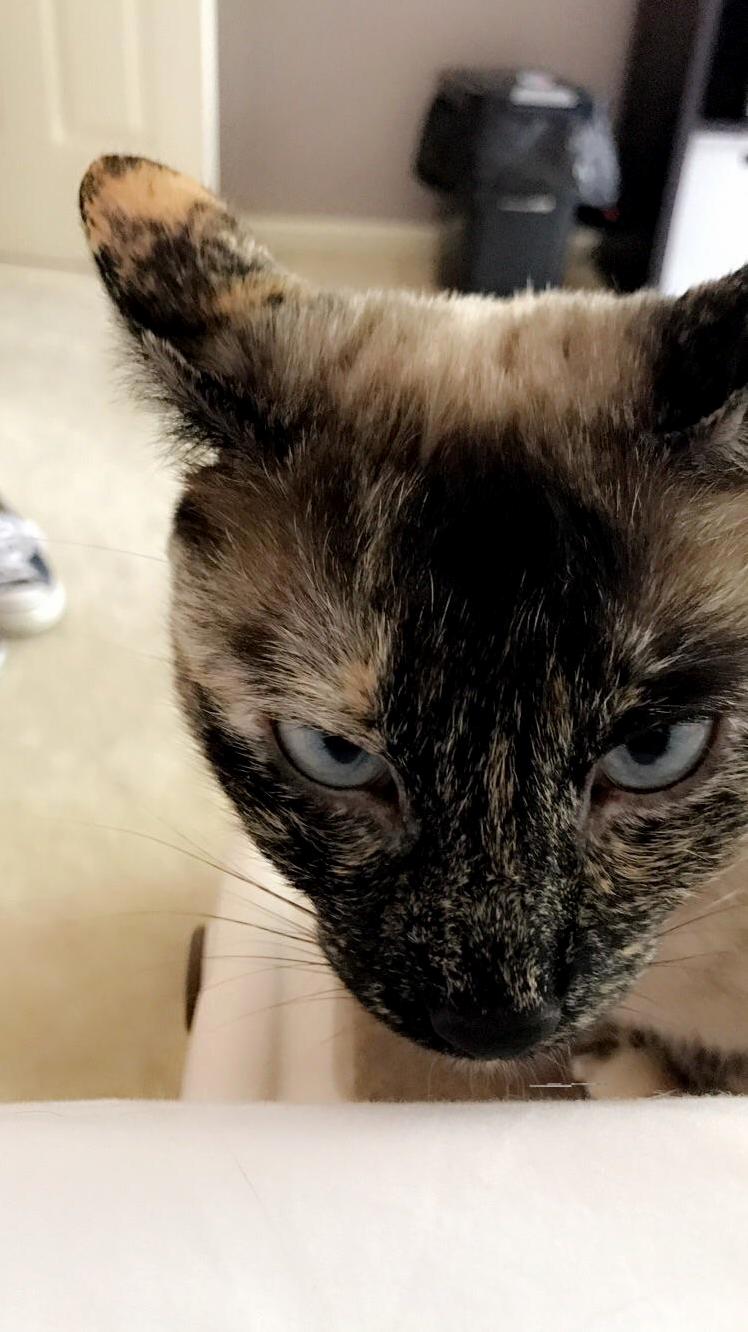 Ursula Is Actually Sweet Despite This Picture
